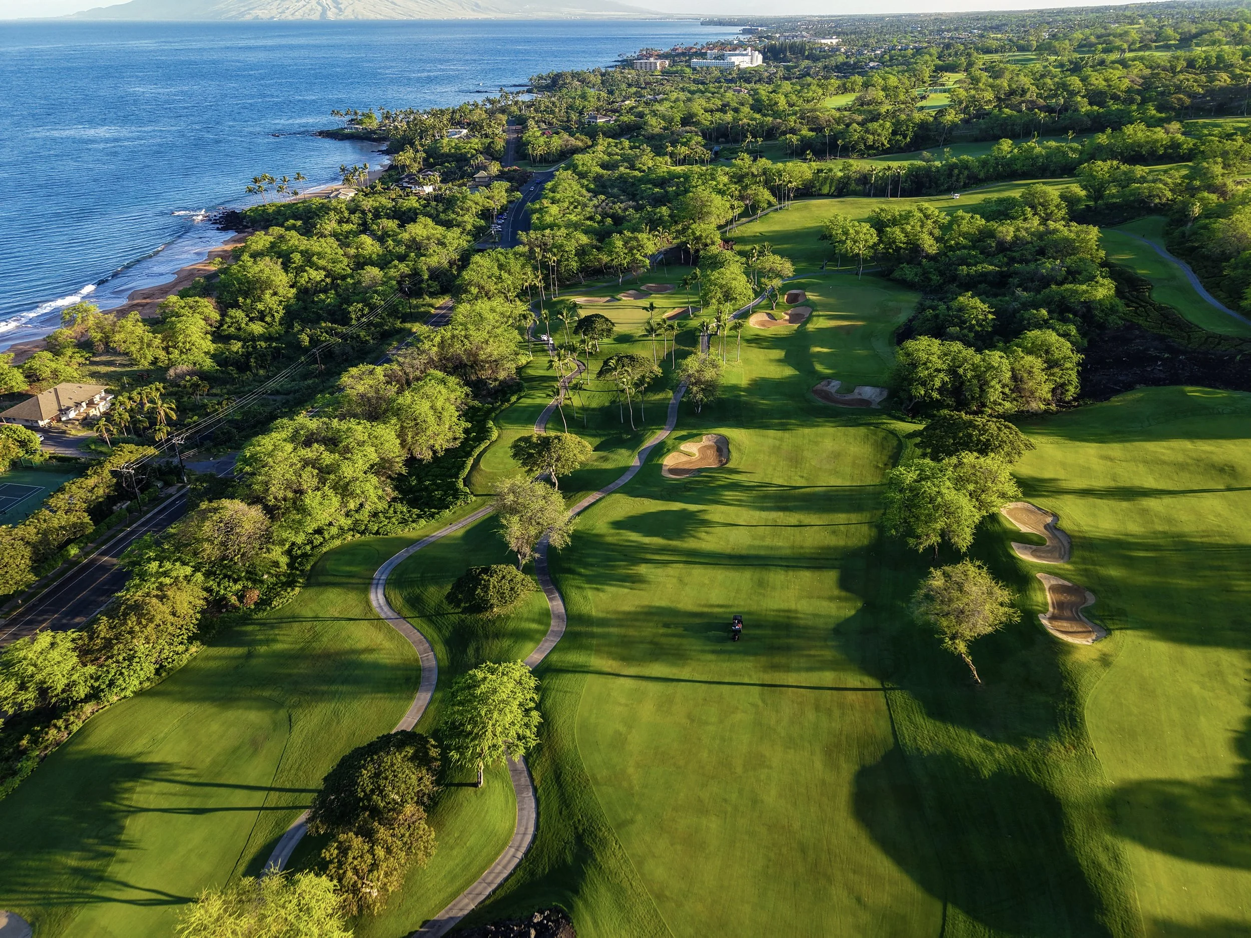 Wailea_GC_14.jpg