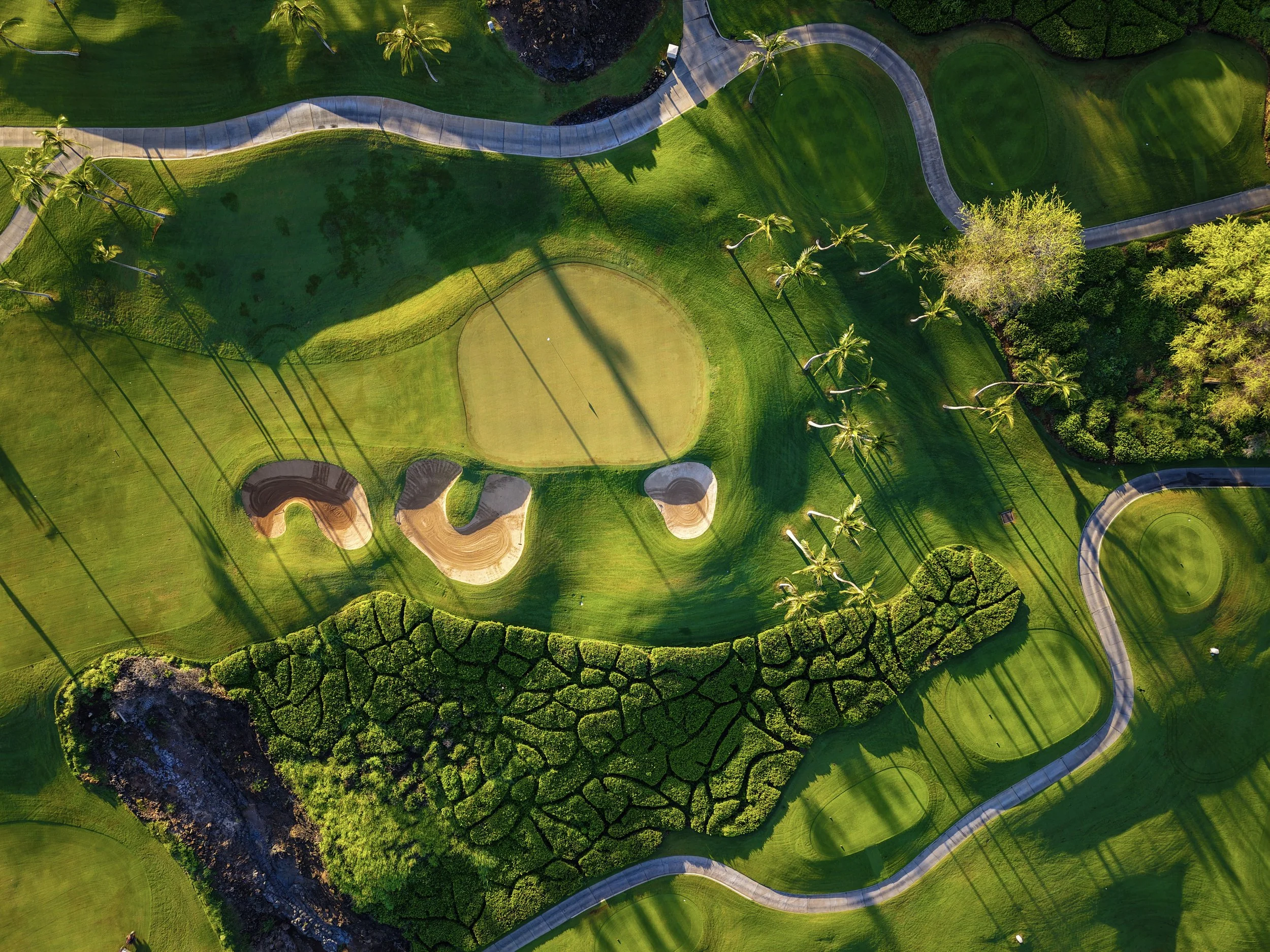 Wailea_GC_13.jpg