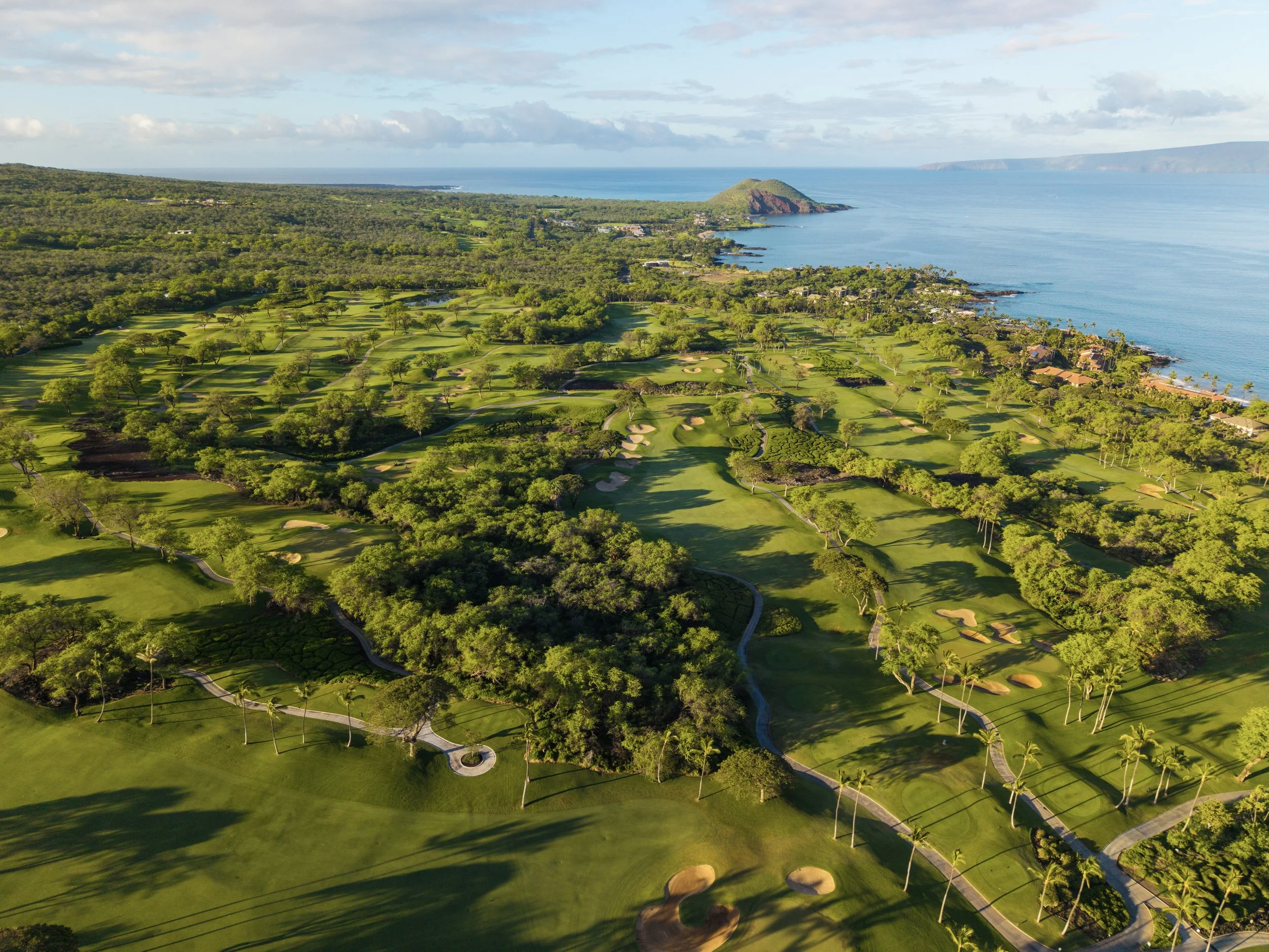 Wailea_GC_45.jpg