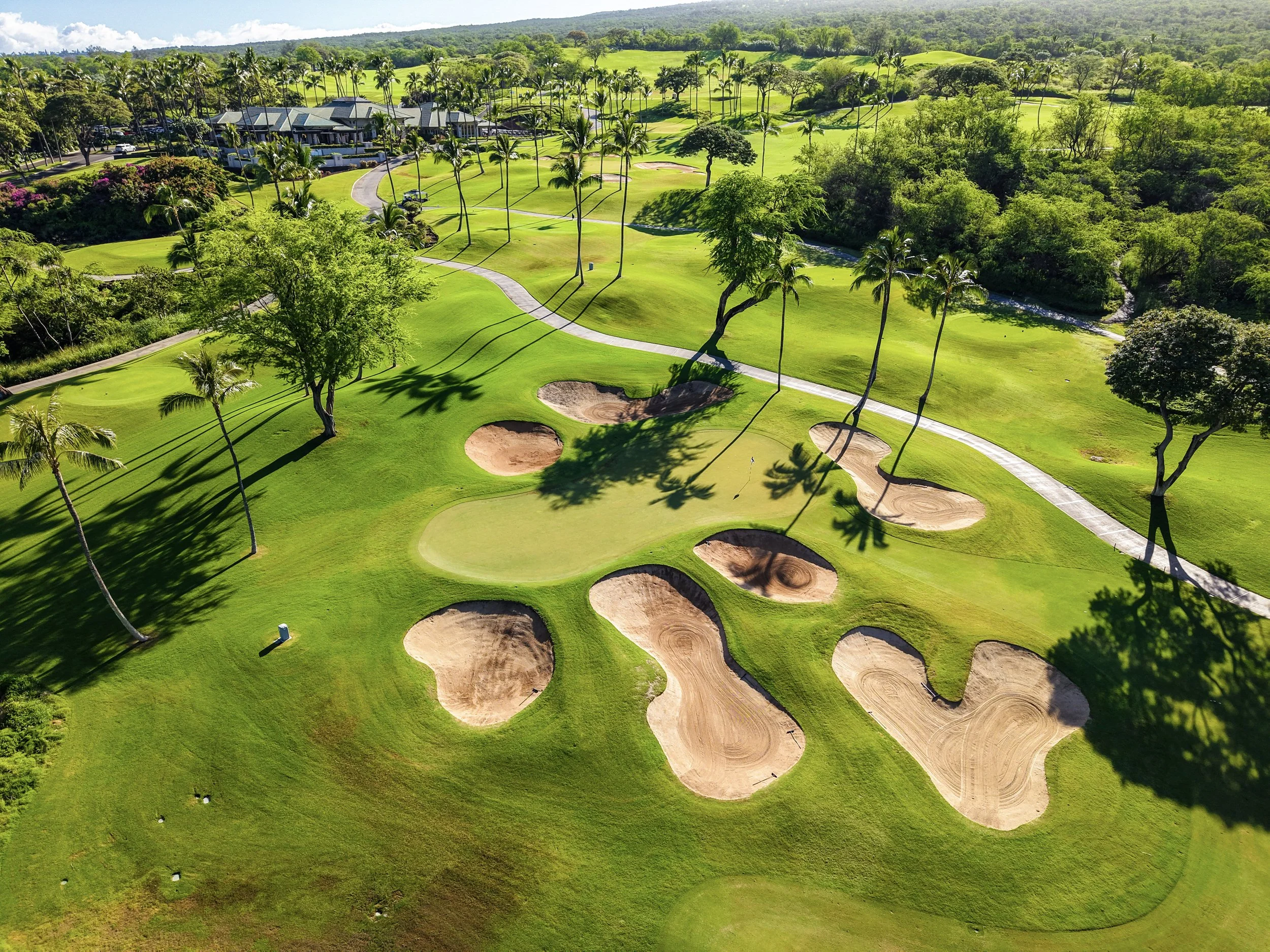 Wailea_GC_19.jpg