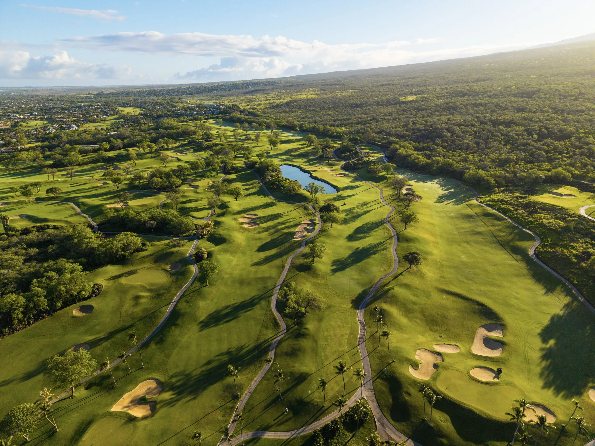 Wailea_GC_46.jpg