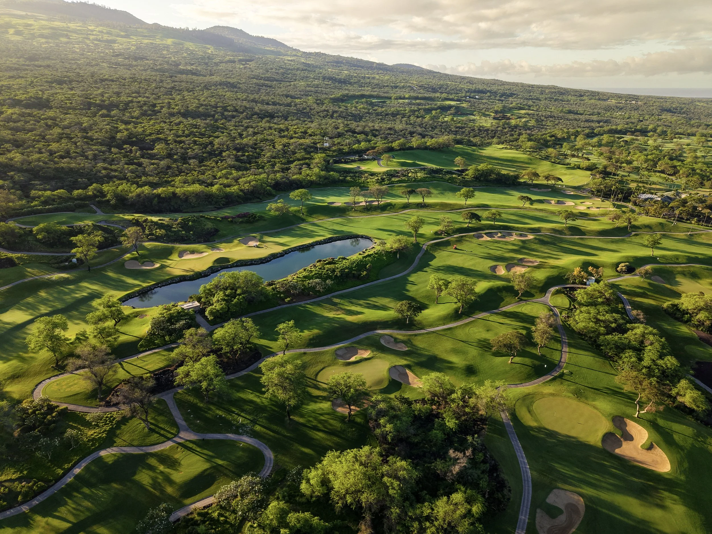 Wailea_GC_38.jpg