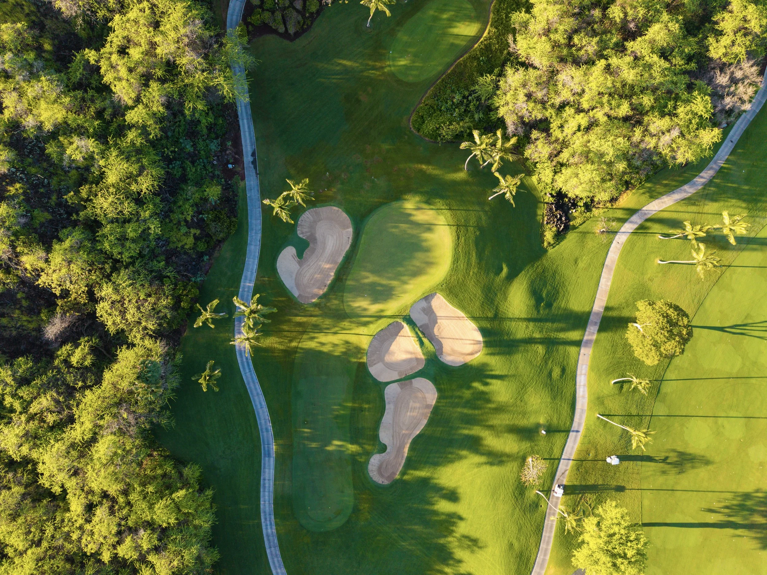 Wailea_GC_41.jpg