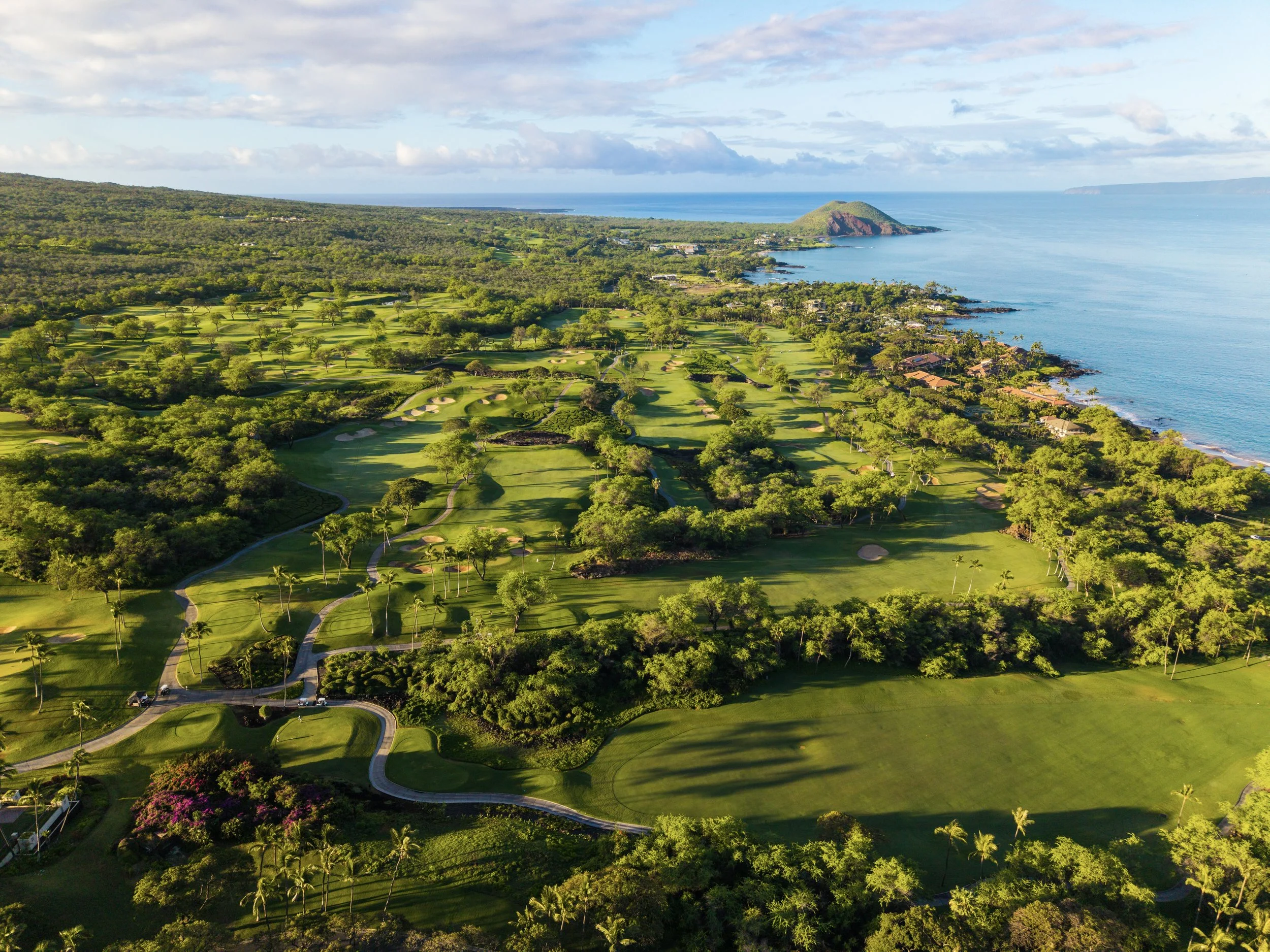 Wailea_GC_43.jpg