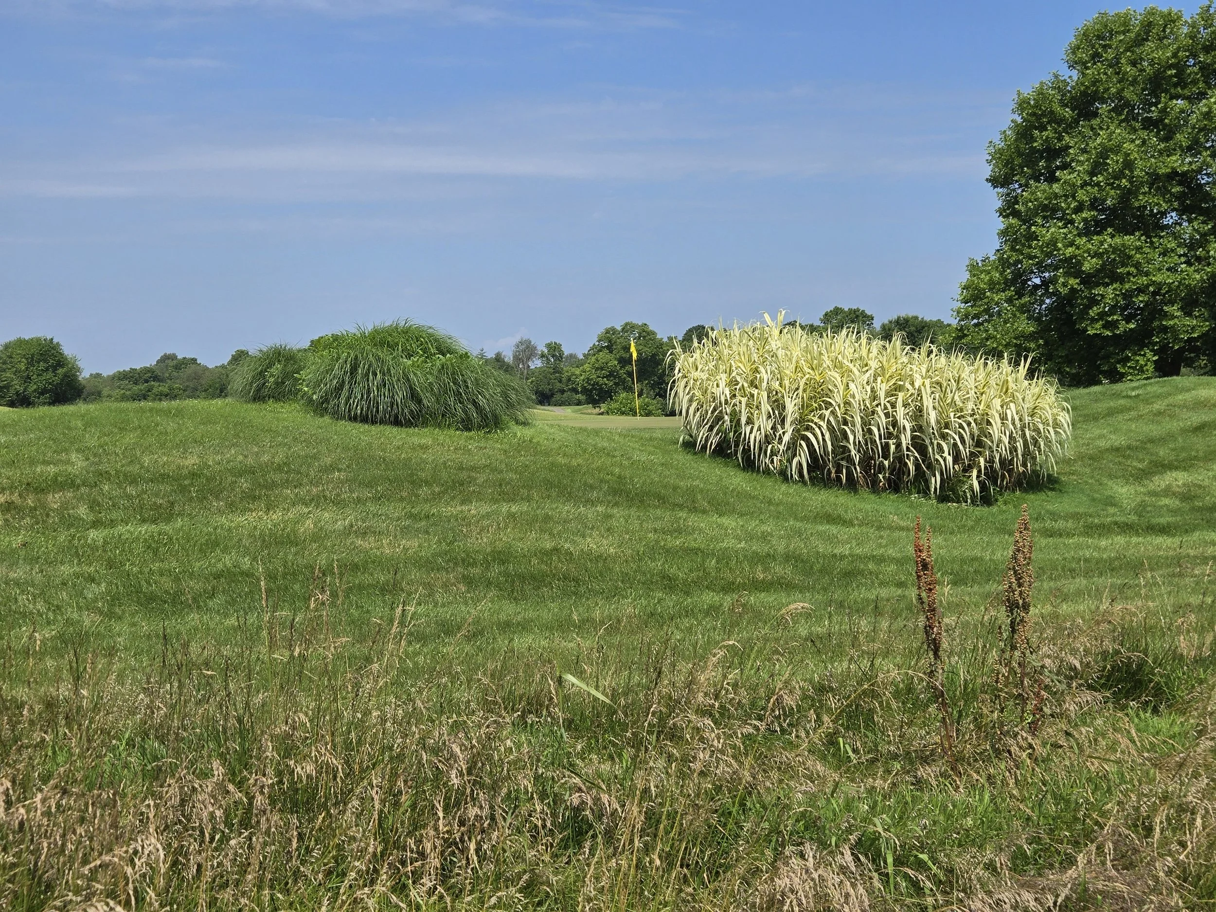 Bardstown Country Club The Kentucky Golf Trail