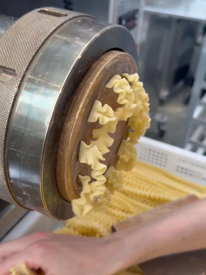 Ever wonder what actually makes Semolina different from your standard bag of all-purpose flour? It&rsquo;s all about the Durum.
Semolina is made from Durum wheat&mdash;the hardest wheat on the planet. It&rsquo;s naturally high in protein and golden i