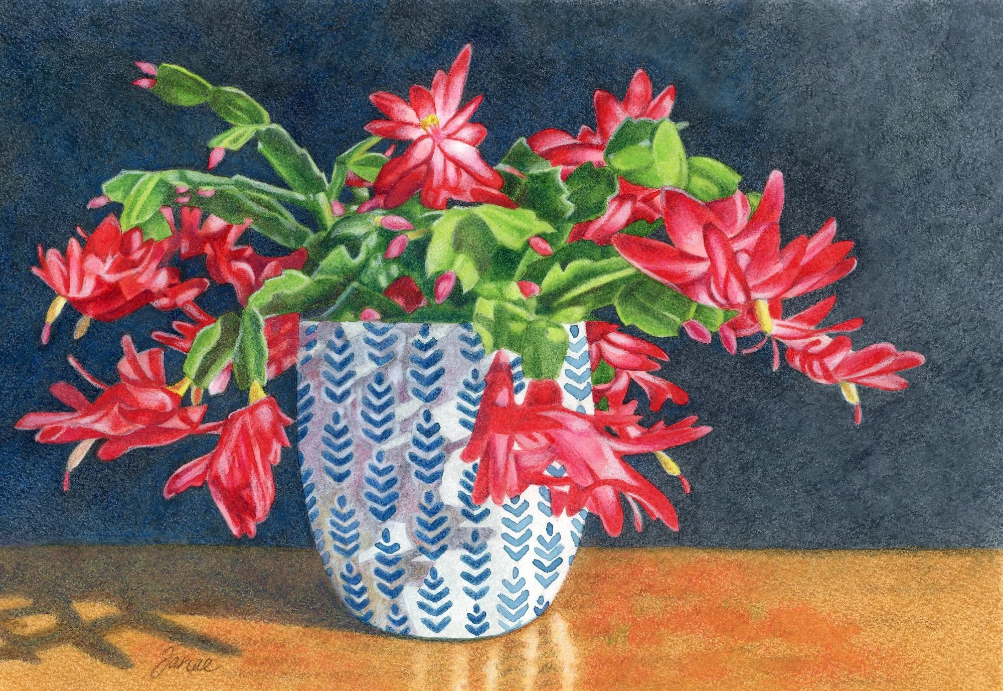 Christmas Cactus  -colored pencil
