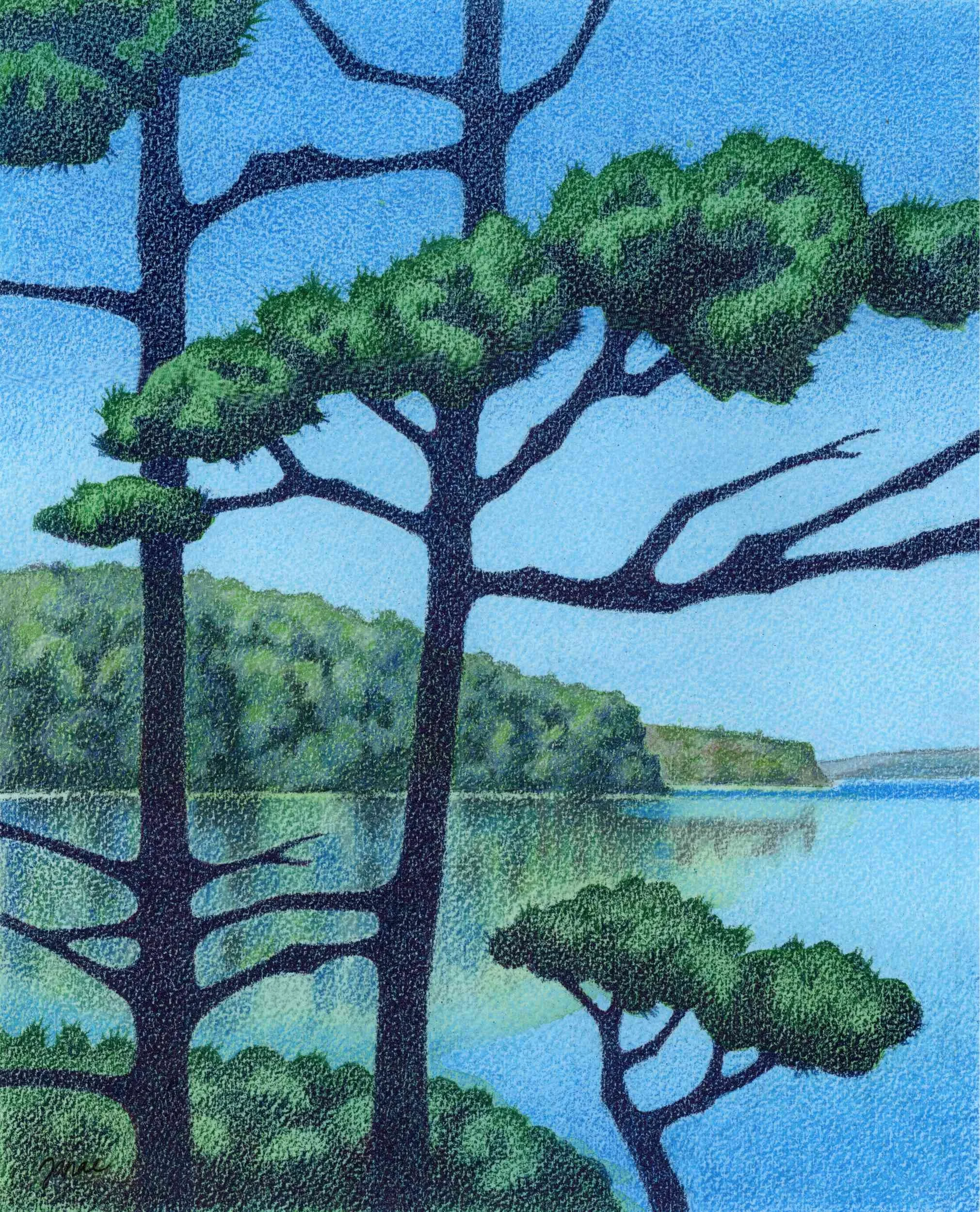Tomales Bay  -colored pencil