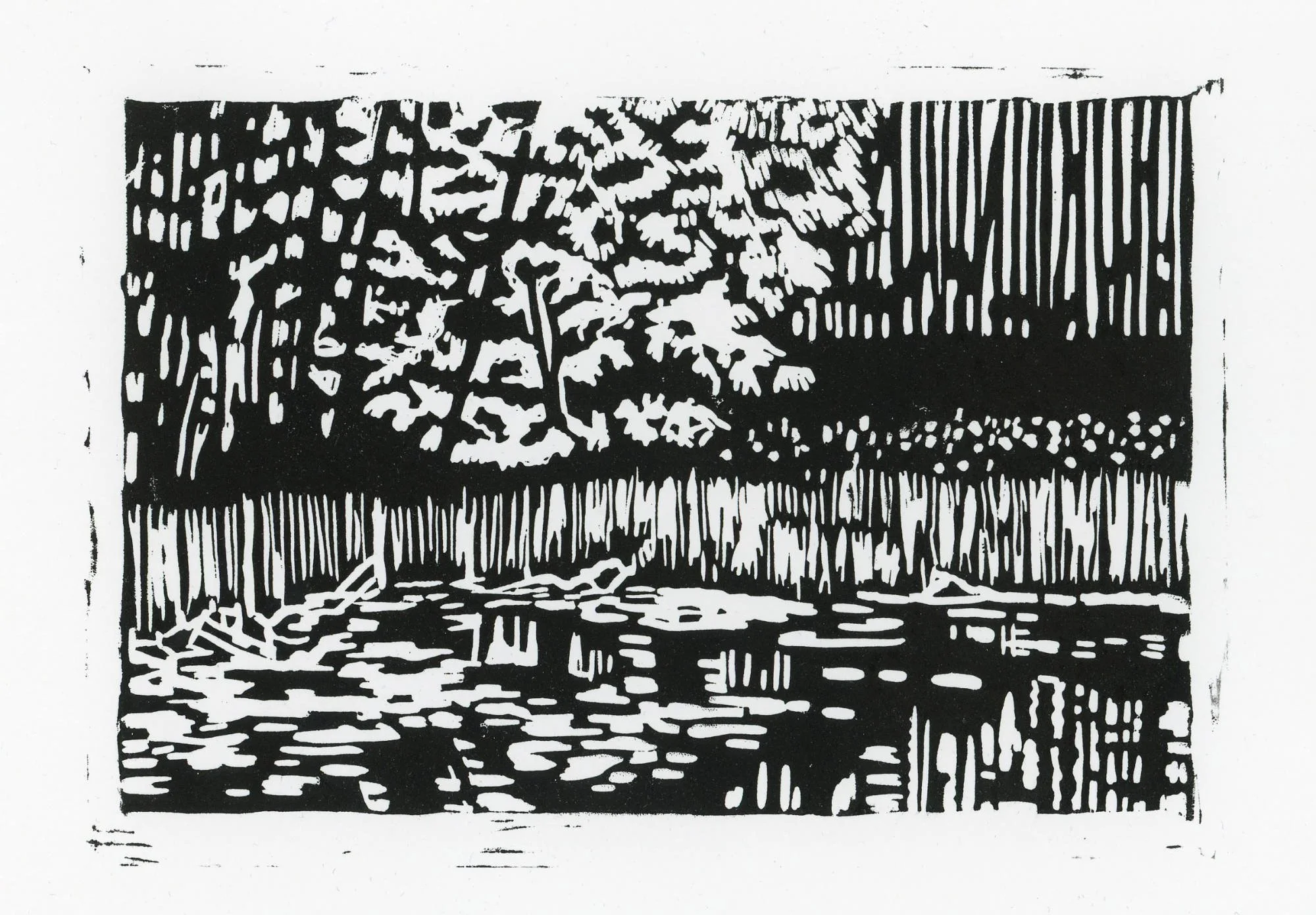 Spring Peeper Pond  -linocut on bristol board