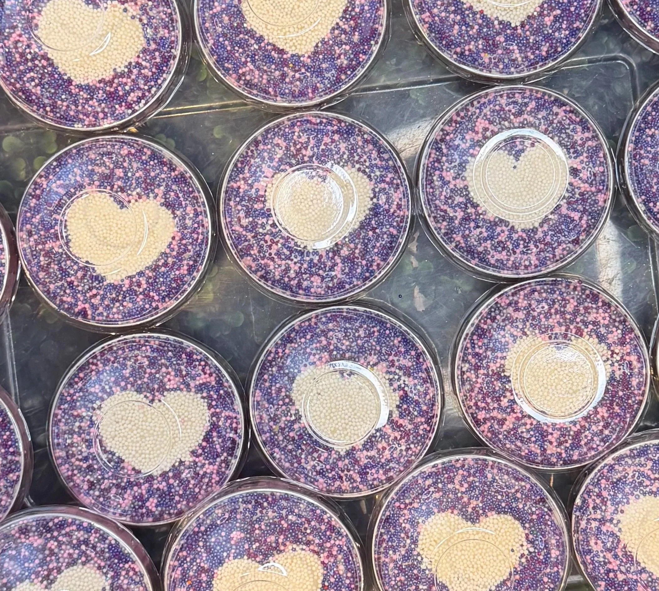 Dot Cakes