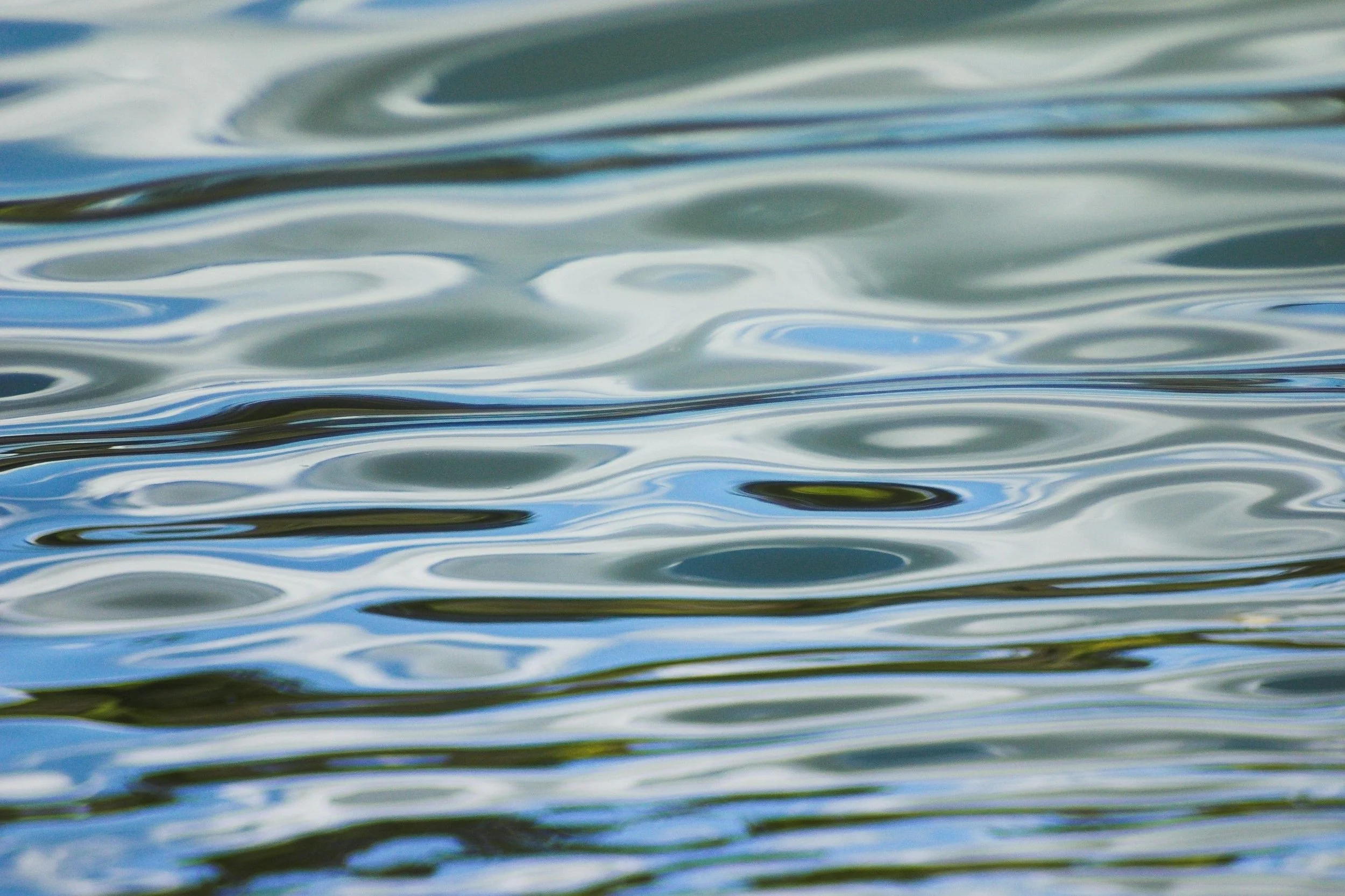 Cultivating Well-Being Under Duress: Workshop with Dr. Charlie Clements