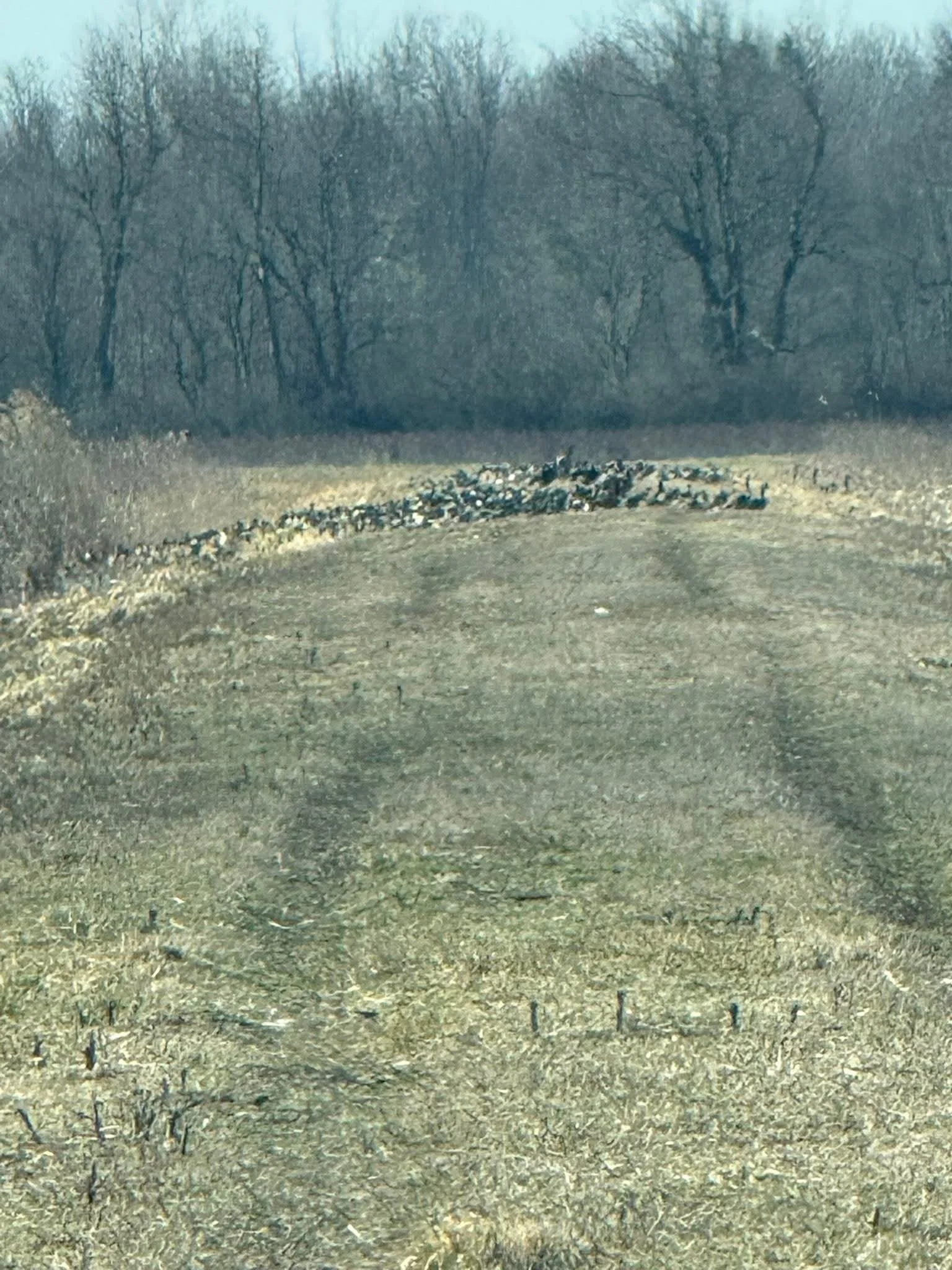 Region 8 Nesting structure cleanout/install day 2026