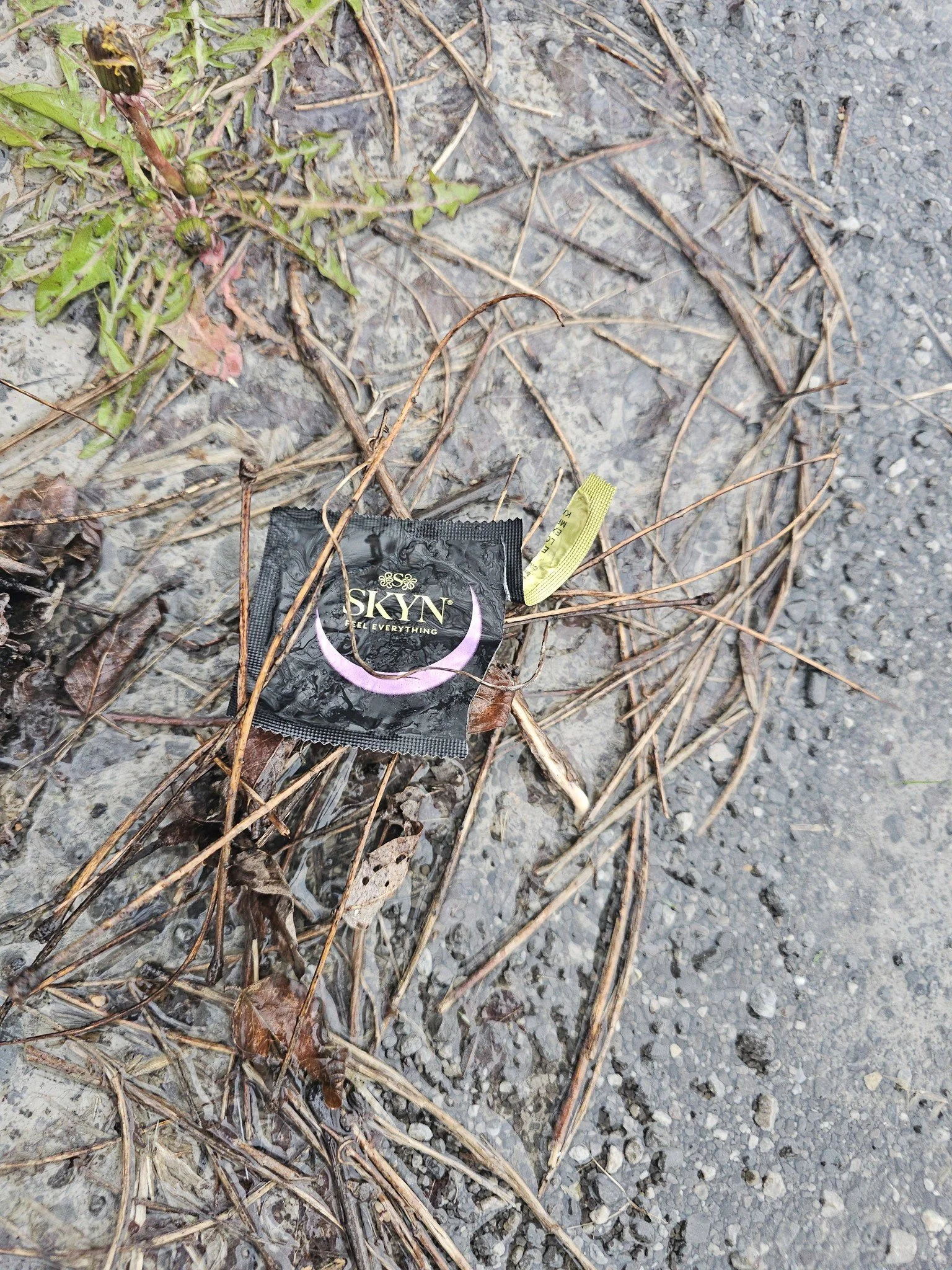 680018953_122167860254630813_7248120030560763026_n.jpg