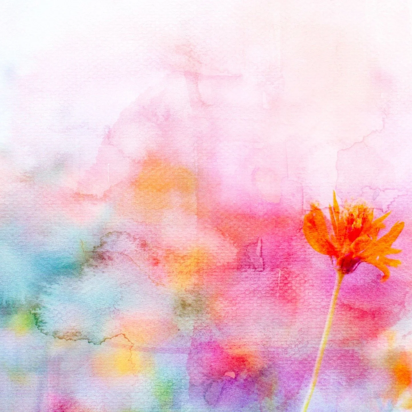 We are open during Spring Break, with morning and afternoon and drop in options.
Morning Art Camp 9 am - 12 pm, Afternoon Edible Art Camp 1-3 pm daily

Please email: creativeartandclay@gmail.com
#springbreak #springbreakcamp