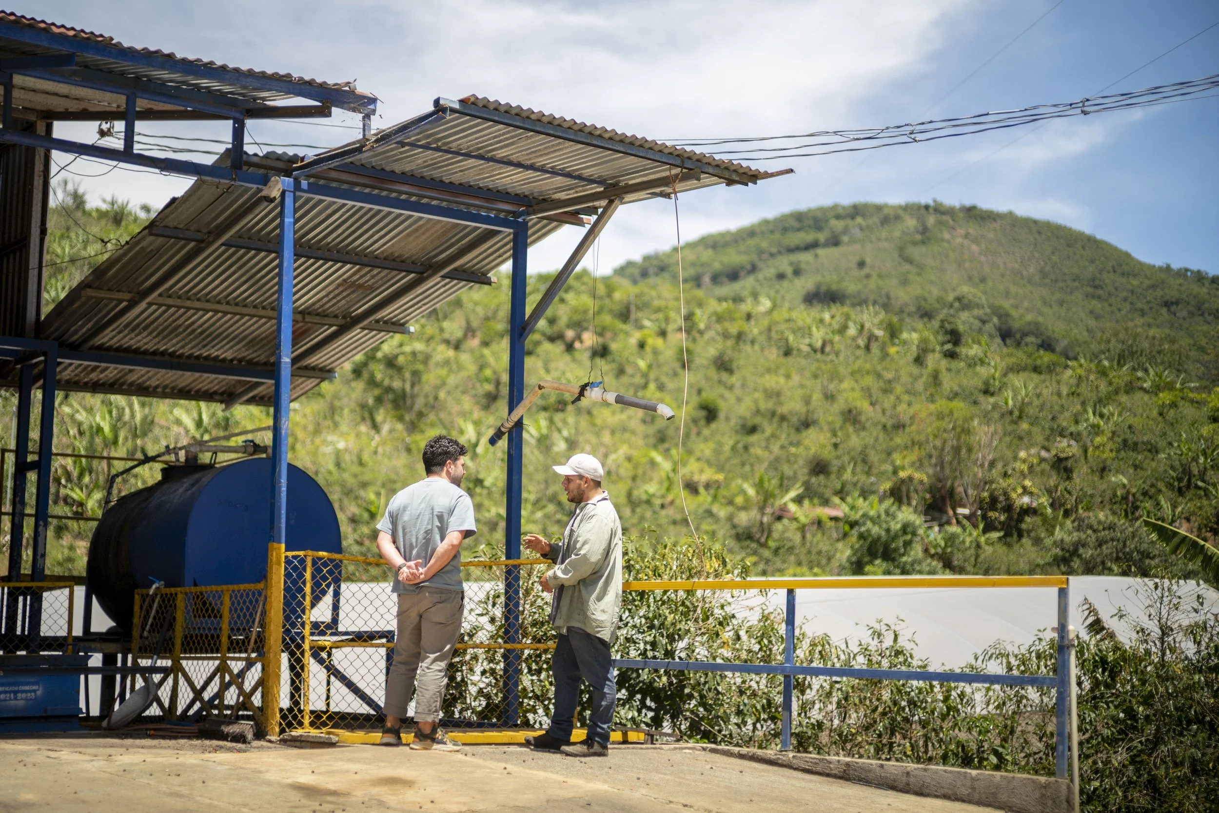 Visitamos 14 fincas y esto aprendimos sobre la cosecha 2025–2026 en Costa Rica