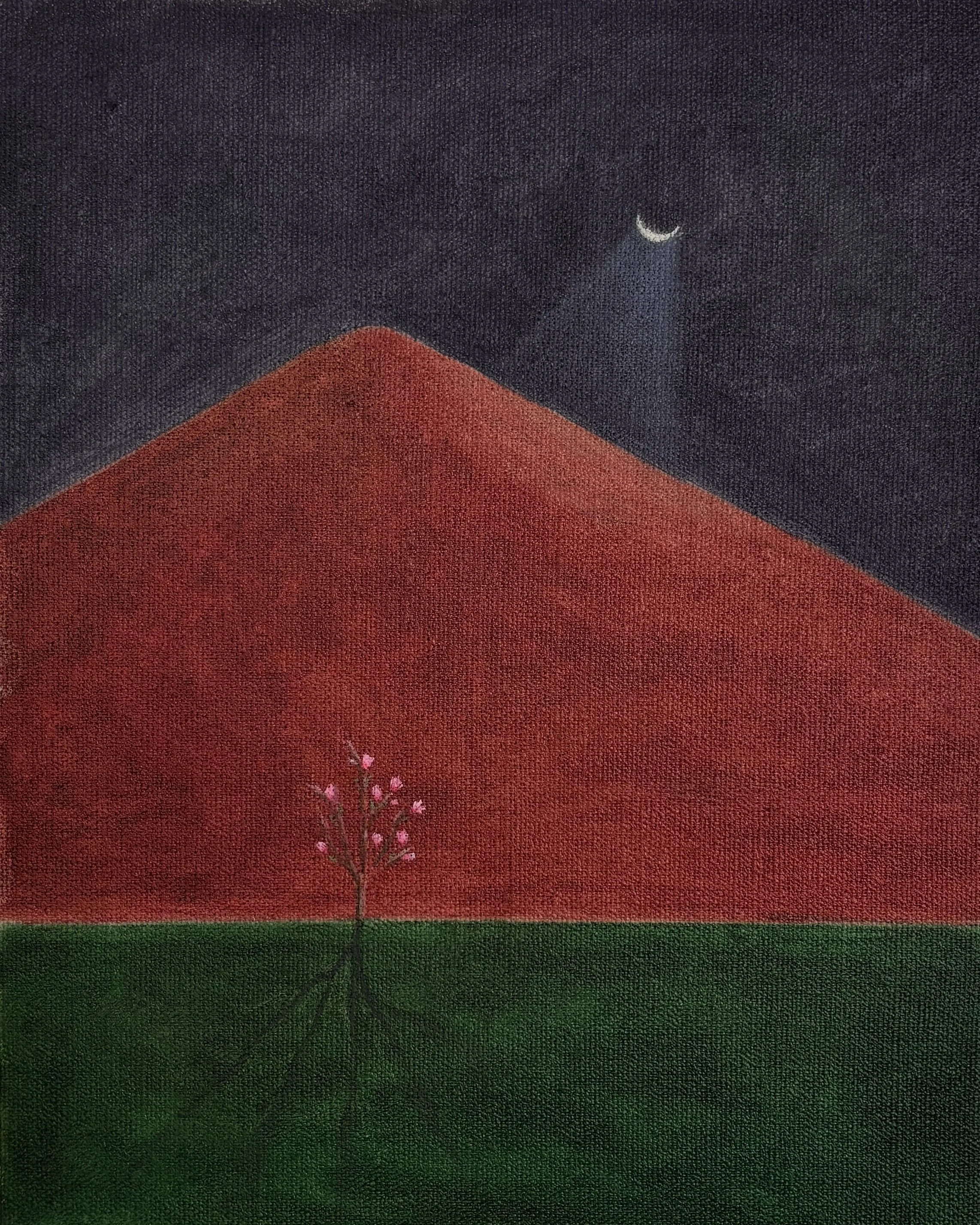 Magnolia in the Moonlight, 2025