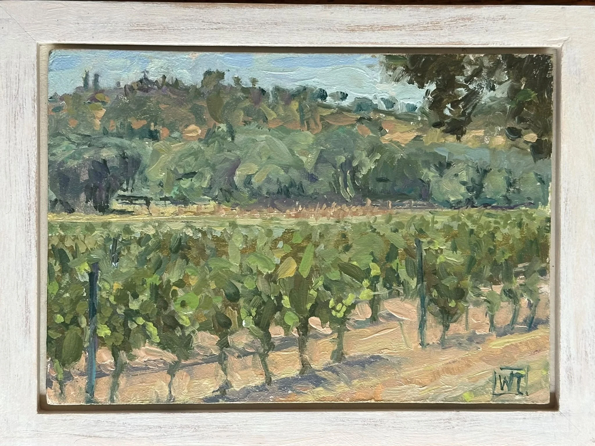 🔴Vineyard and Lavender, Chateau Leoube