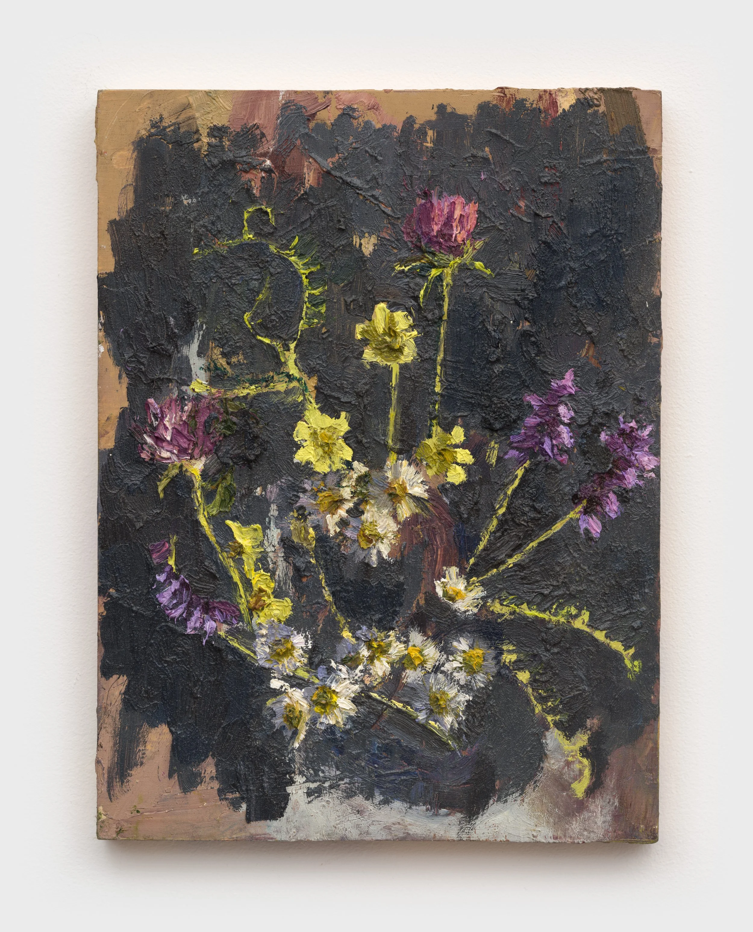 Harlemville Road Purple Clover, 2023