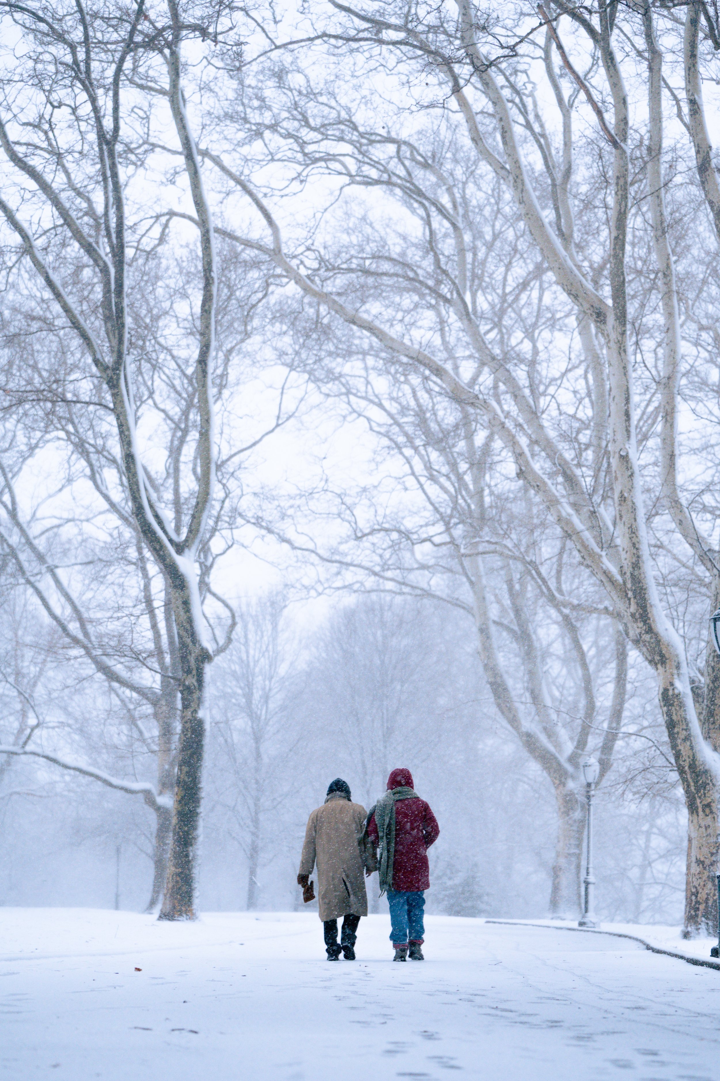Two people walking at a snowy park surrounded by leafless trees on a cold winter day.