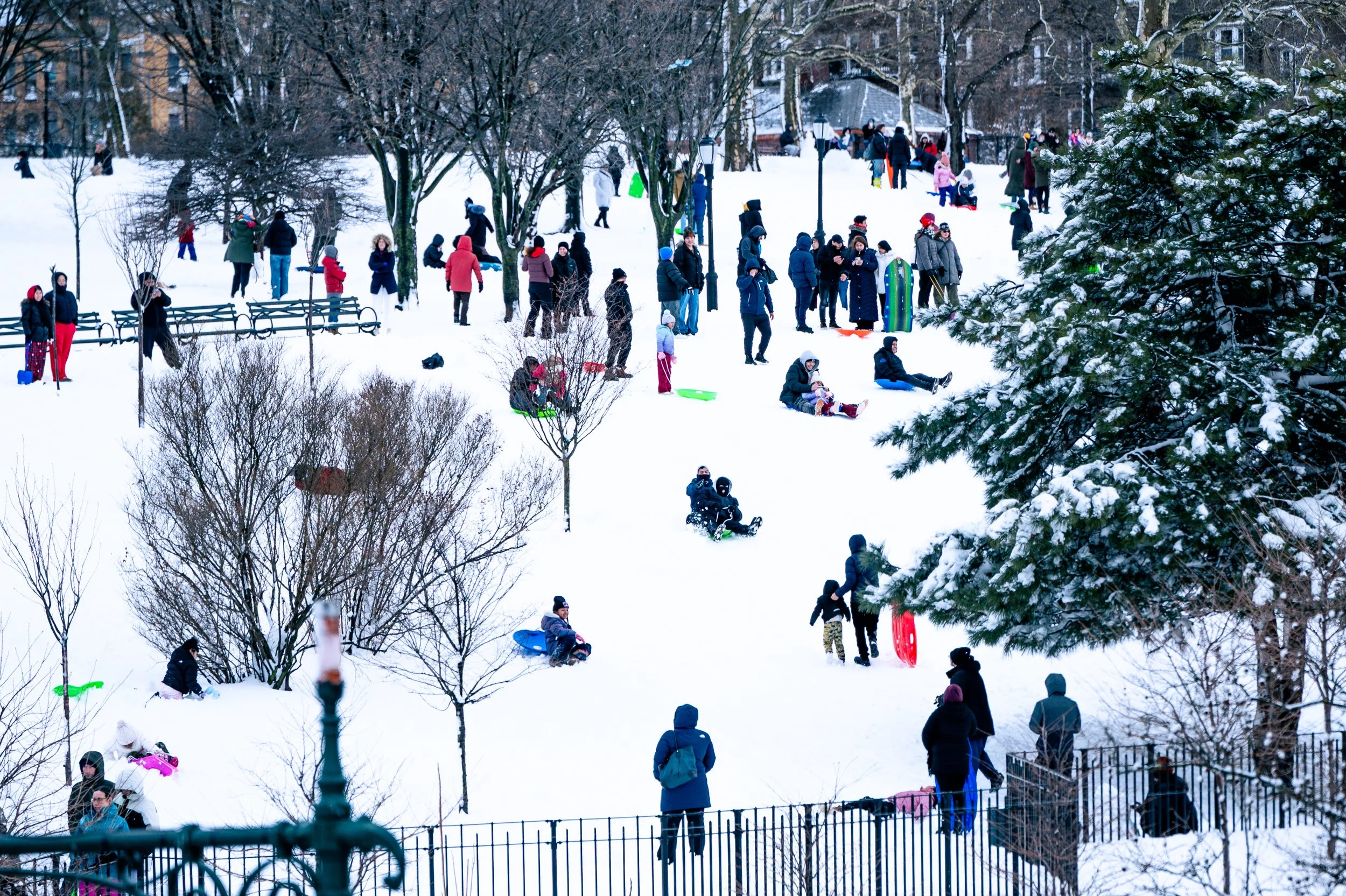 People enjoying winter activities in a snowy park, some sledding, some standing and chatting, and others sitting on the snow with sleds, surrounded by snow-covered trees and park benches.