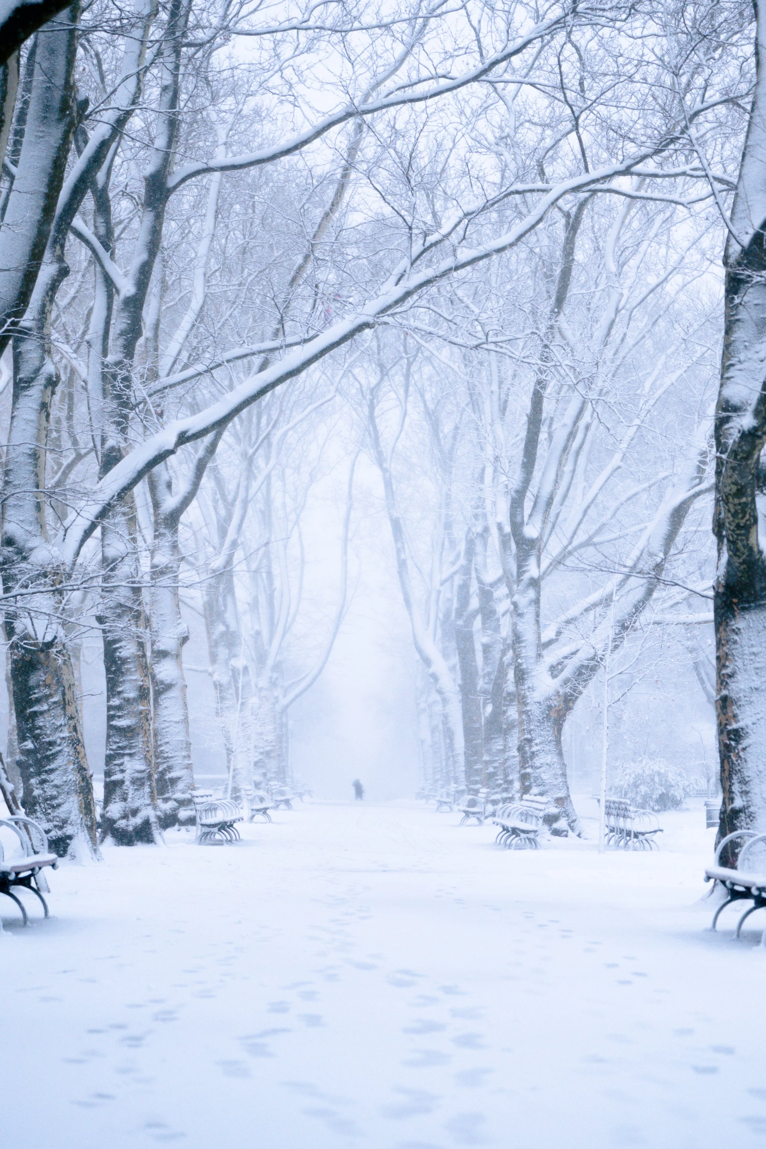 Snow-covered park pathway with leafless trees on both sides, benches, and footsteps in the snow, with foggy background.