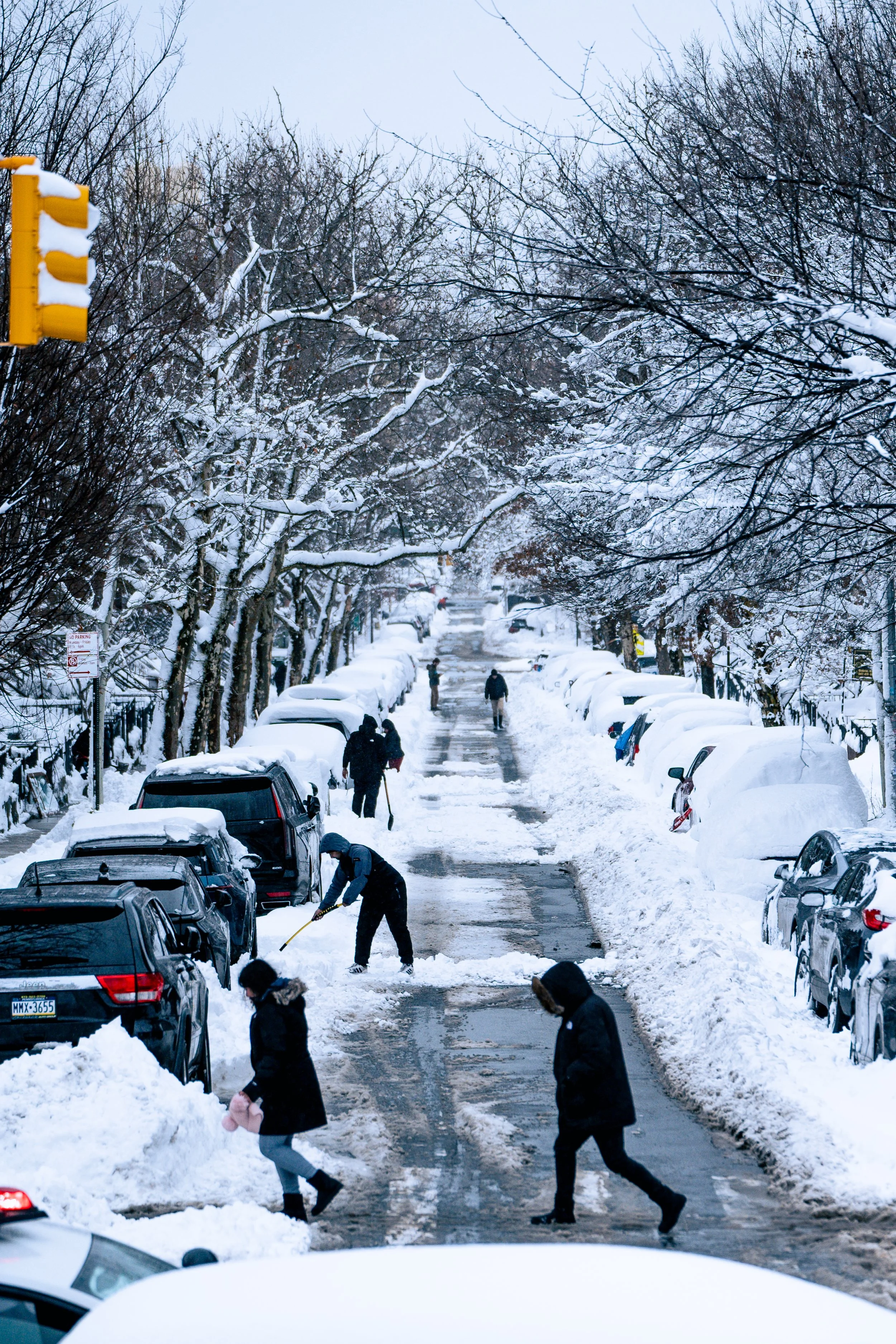 People shoveling snow on a city street lined with parked cars and leafless trees in winter.