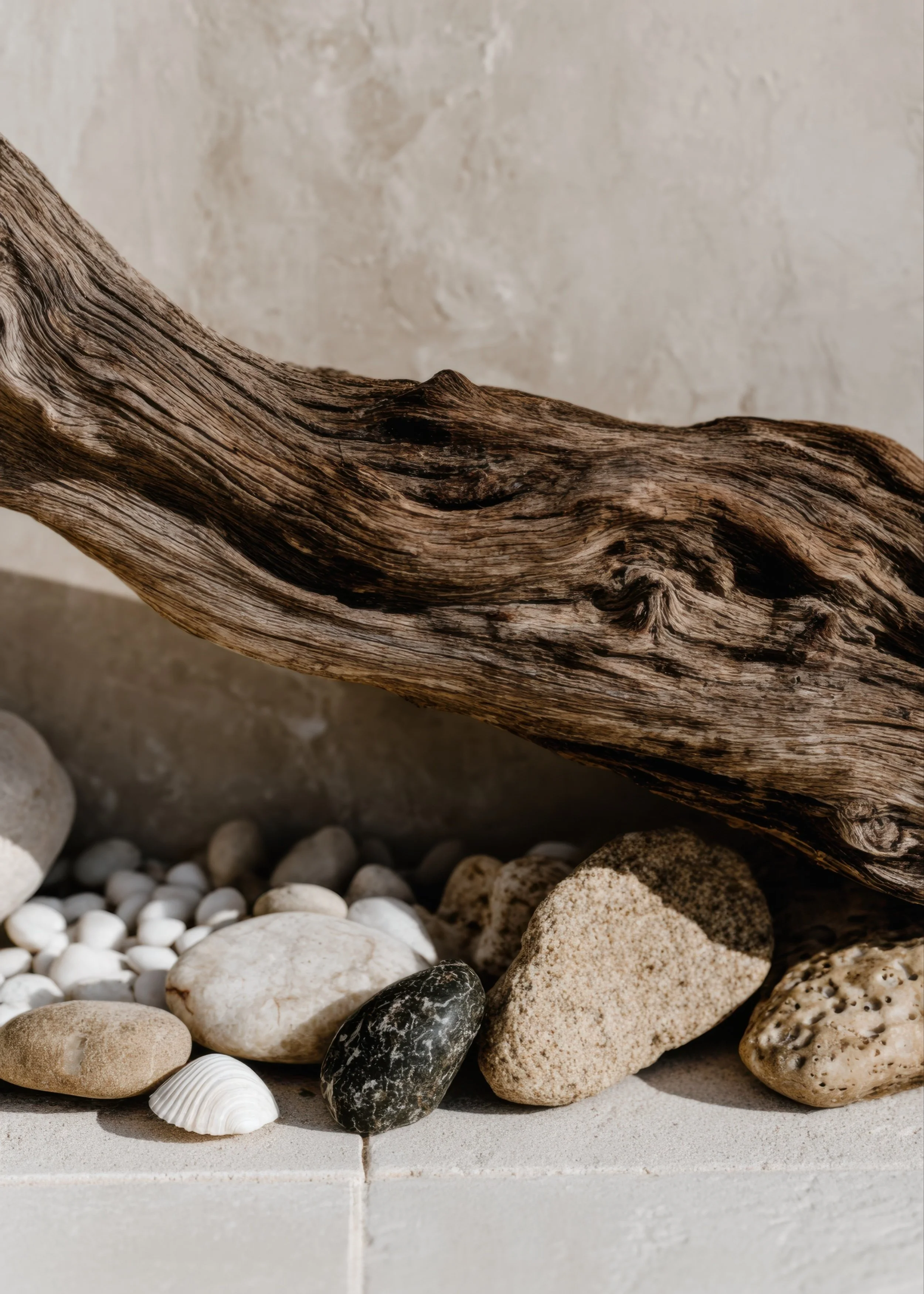 Natural stones and driftwood arranged in soft neutral coastal tones