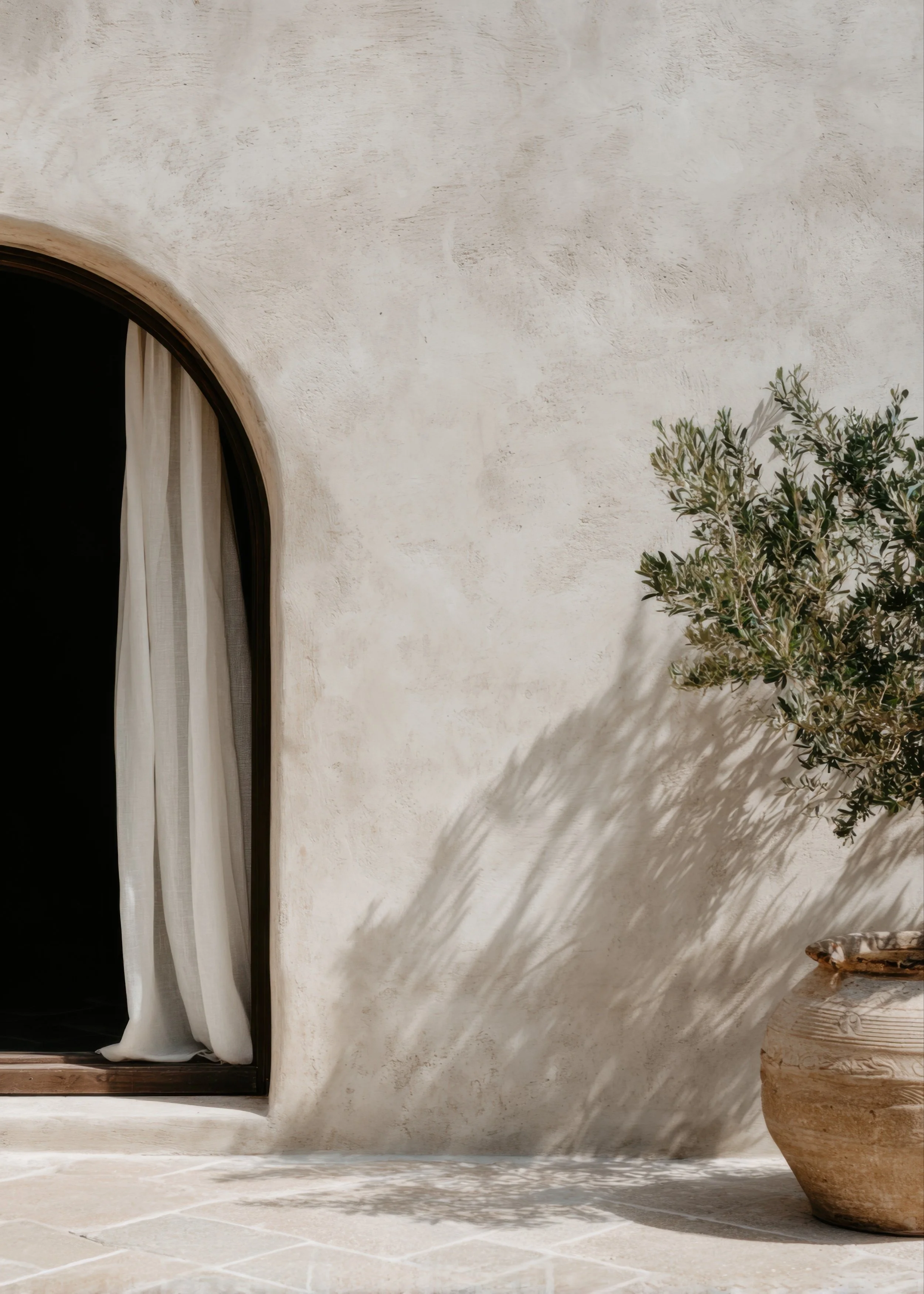 Sunlit exterior entryway with natural textures and olive tree