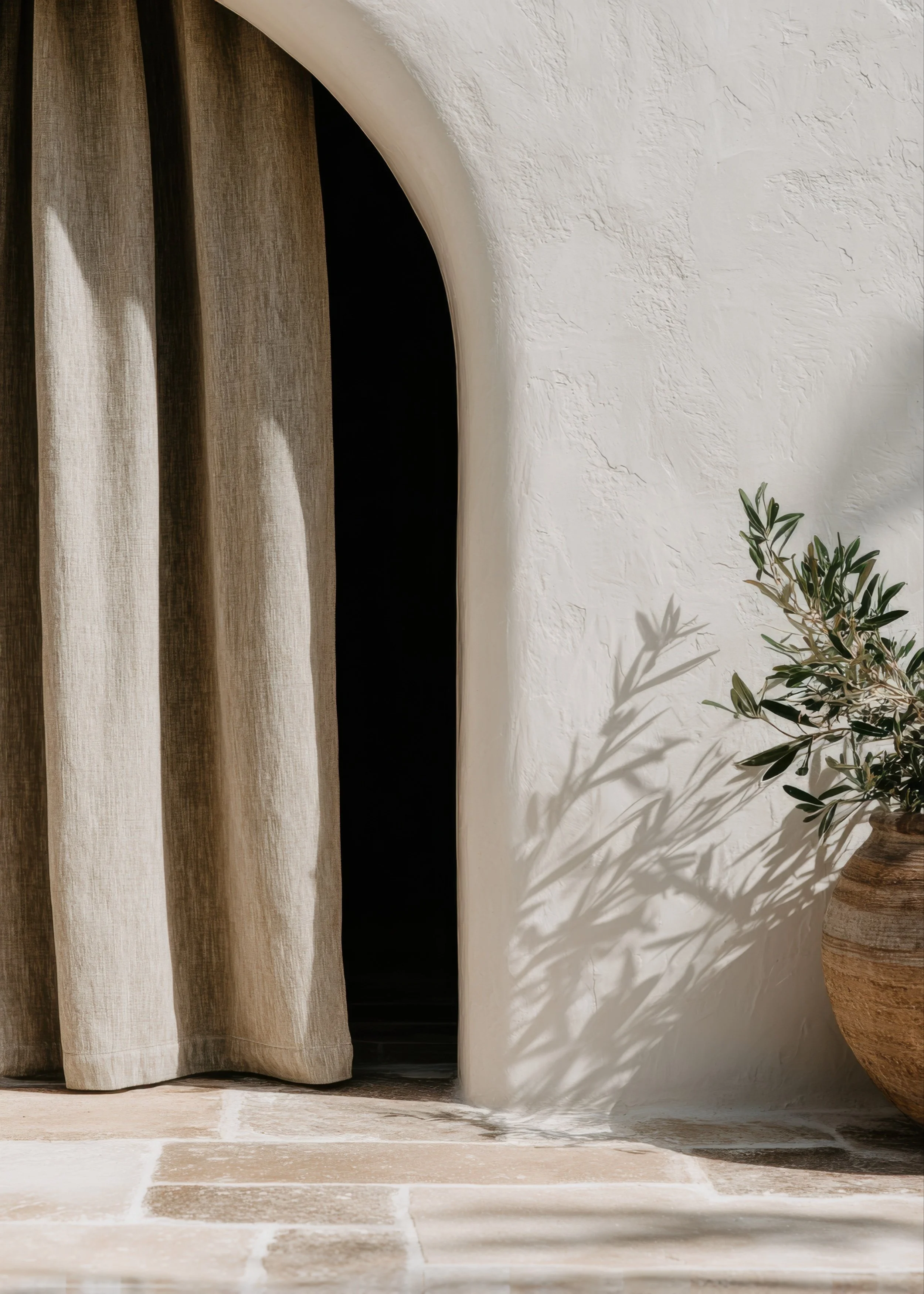 A beige curtain partially covers an arched doorway onto a dark room. To the right, a white textured wall is decorated with a plant with green leaves in a pot.