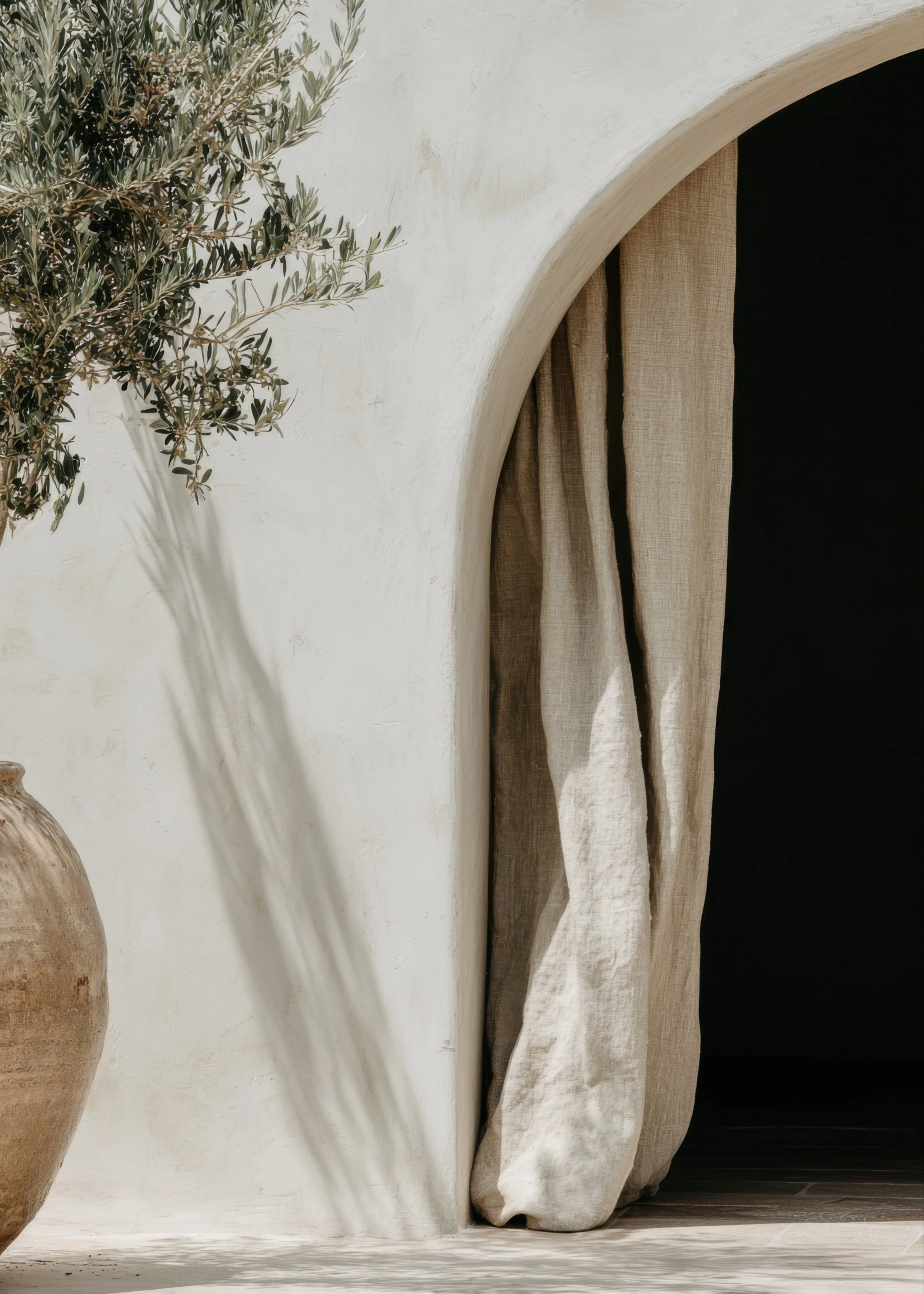 Part of a minimalist interior scene with a white plastered wall, a potted plant with olive-colored leaves, a textured beige curtain, and a black background behind the curtain.