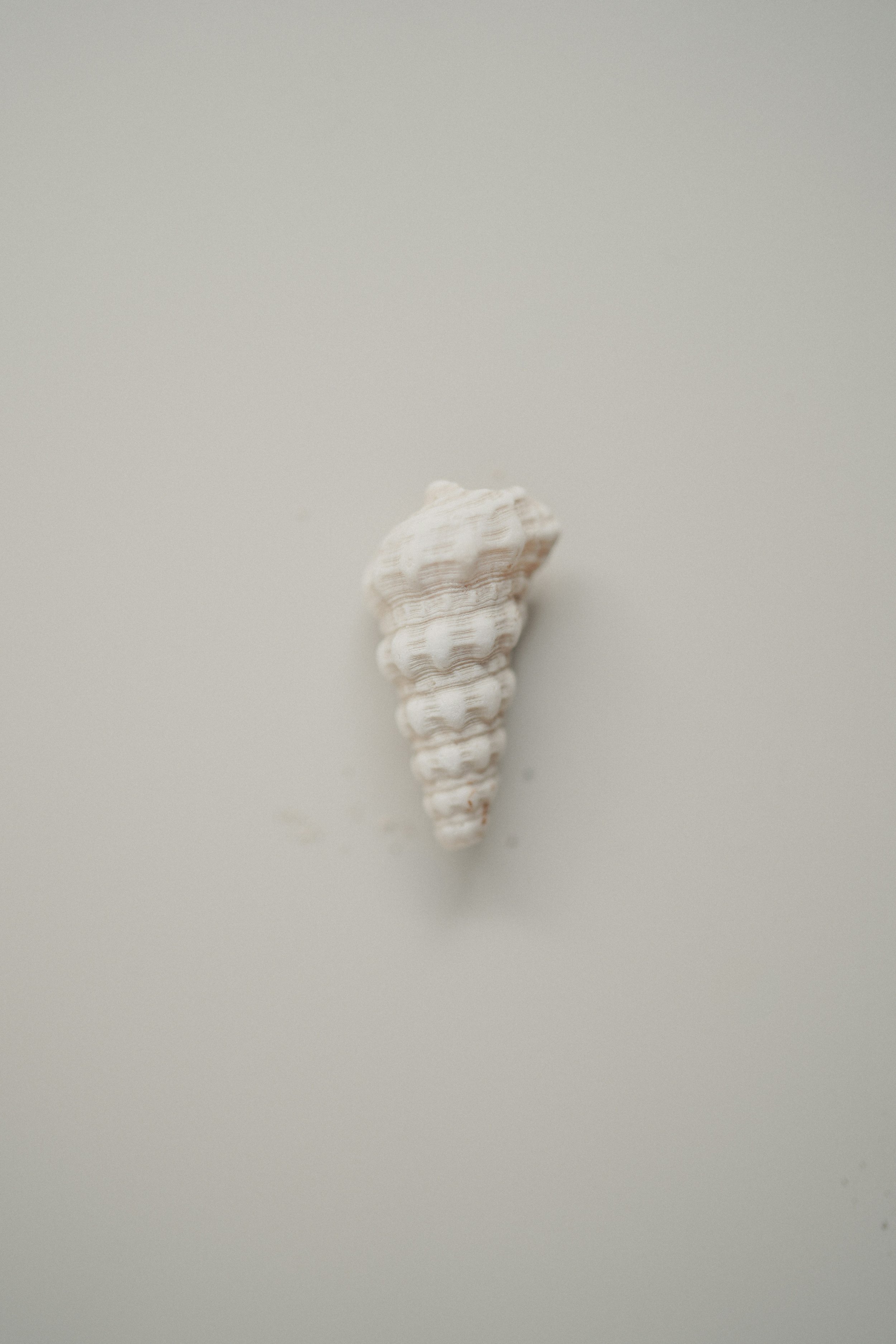 EMDRIA Approved Consultant in Redondo Beach offering individual therapy for teens and adults.