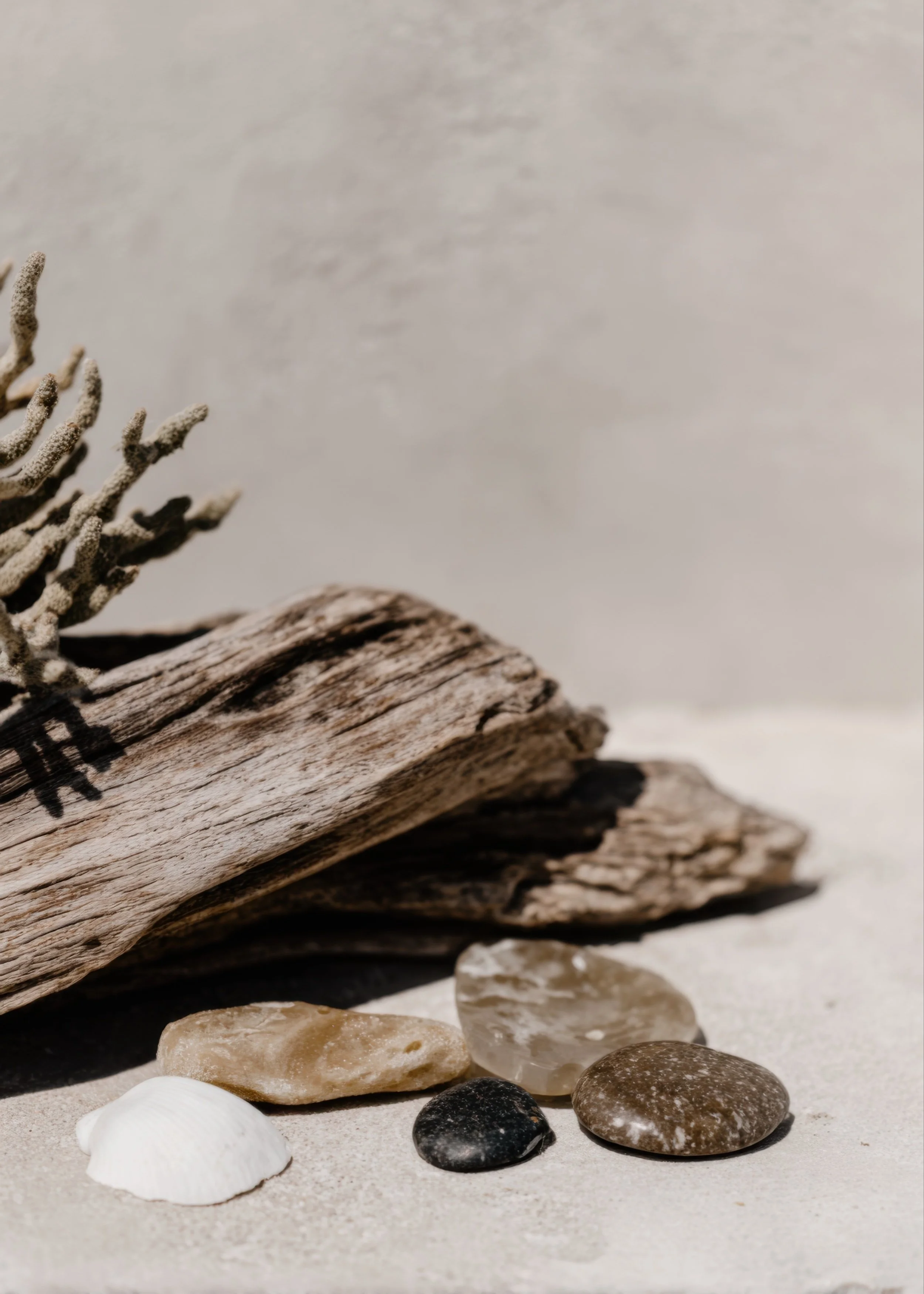 Driftwood, seashells, and smooth stones arranged on sand in a neutral coastal setting