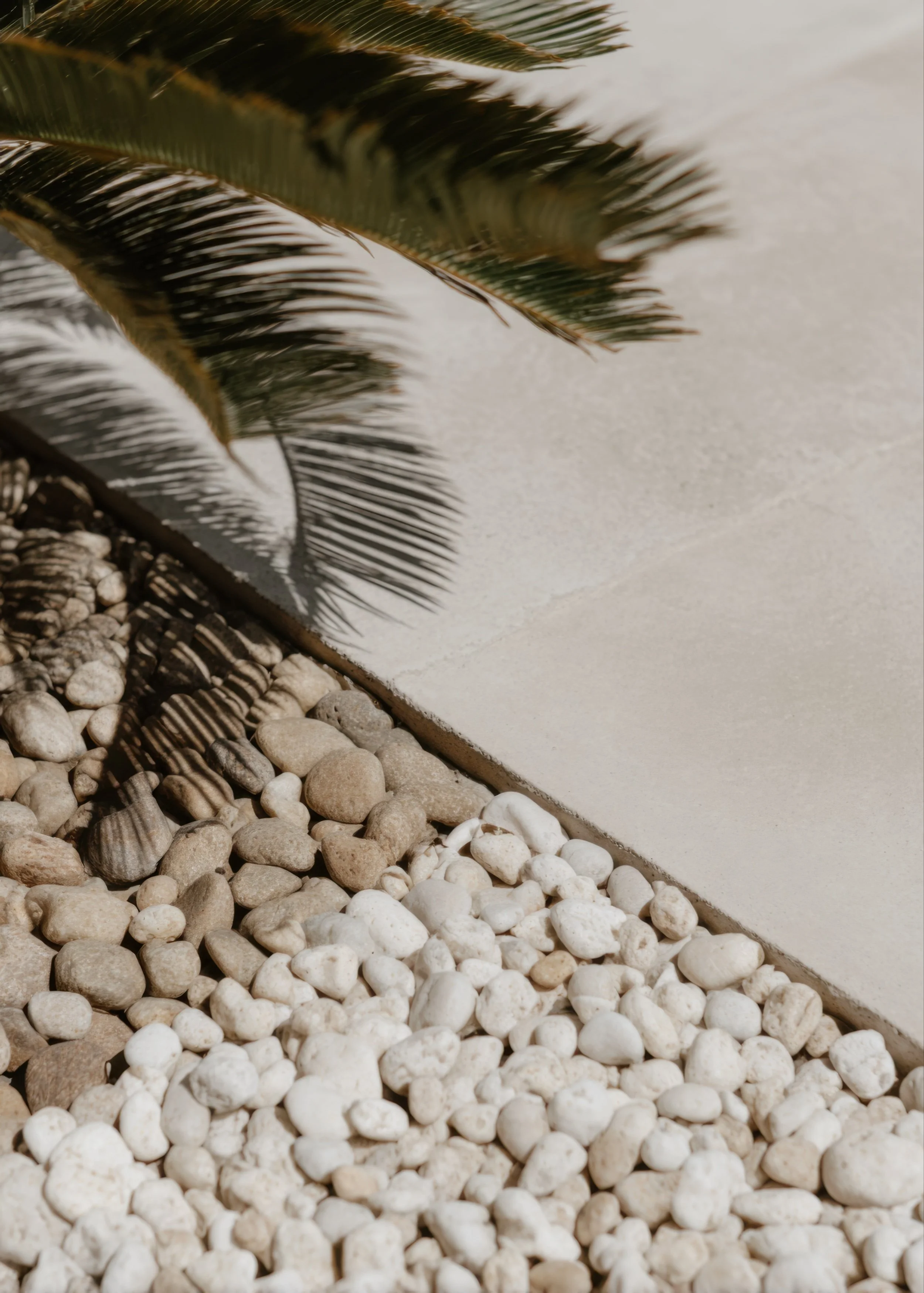 Calming outdoor stone pathway with palm shadows
