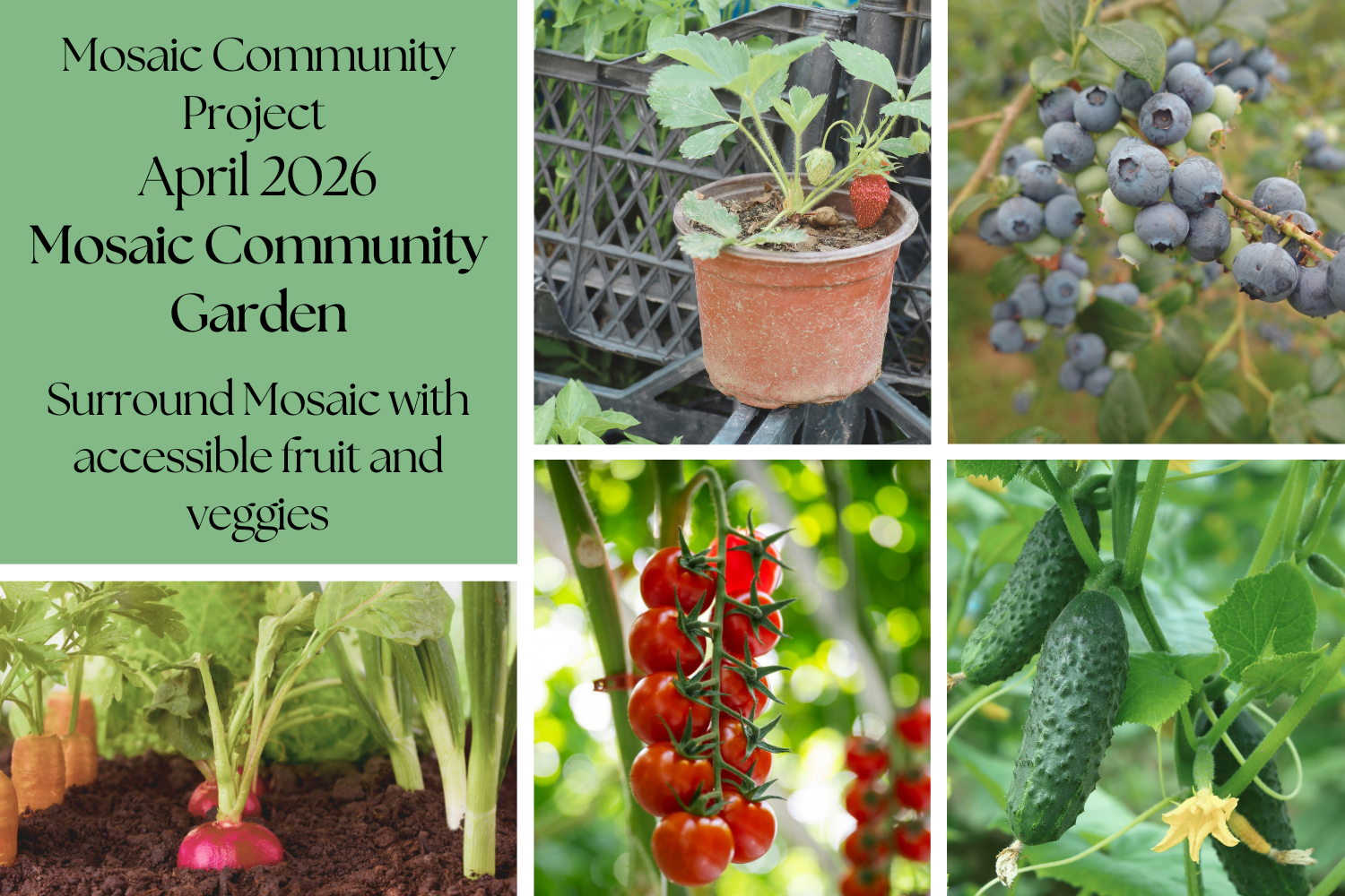 Portrait Mosaic - April 2026 Community Project 