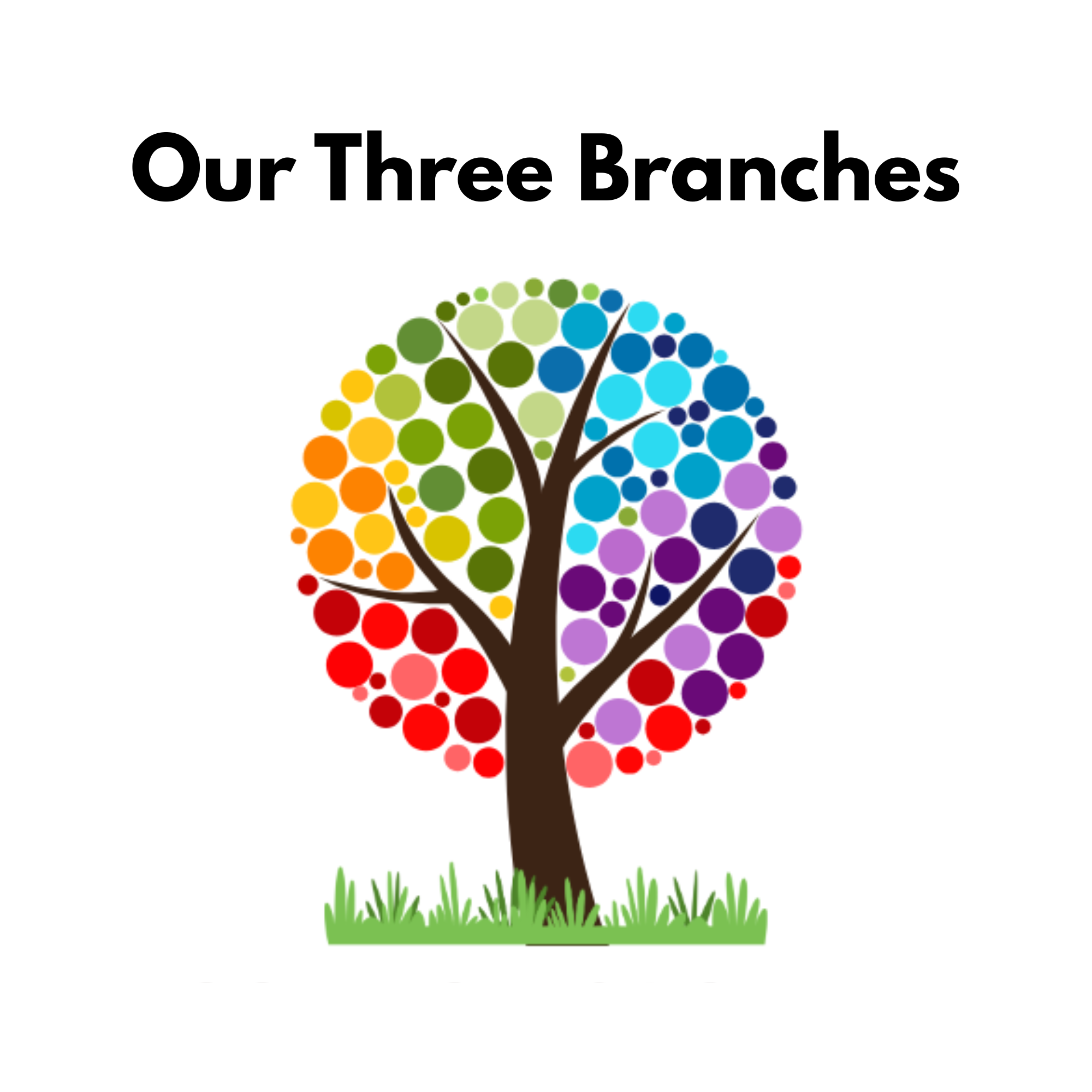 Our Three Branches