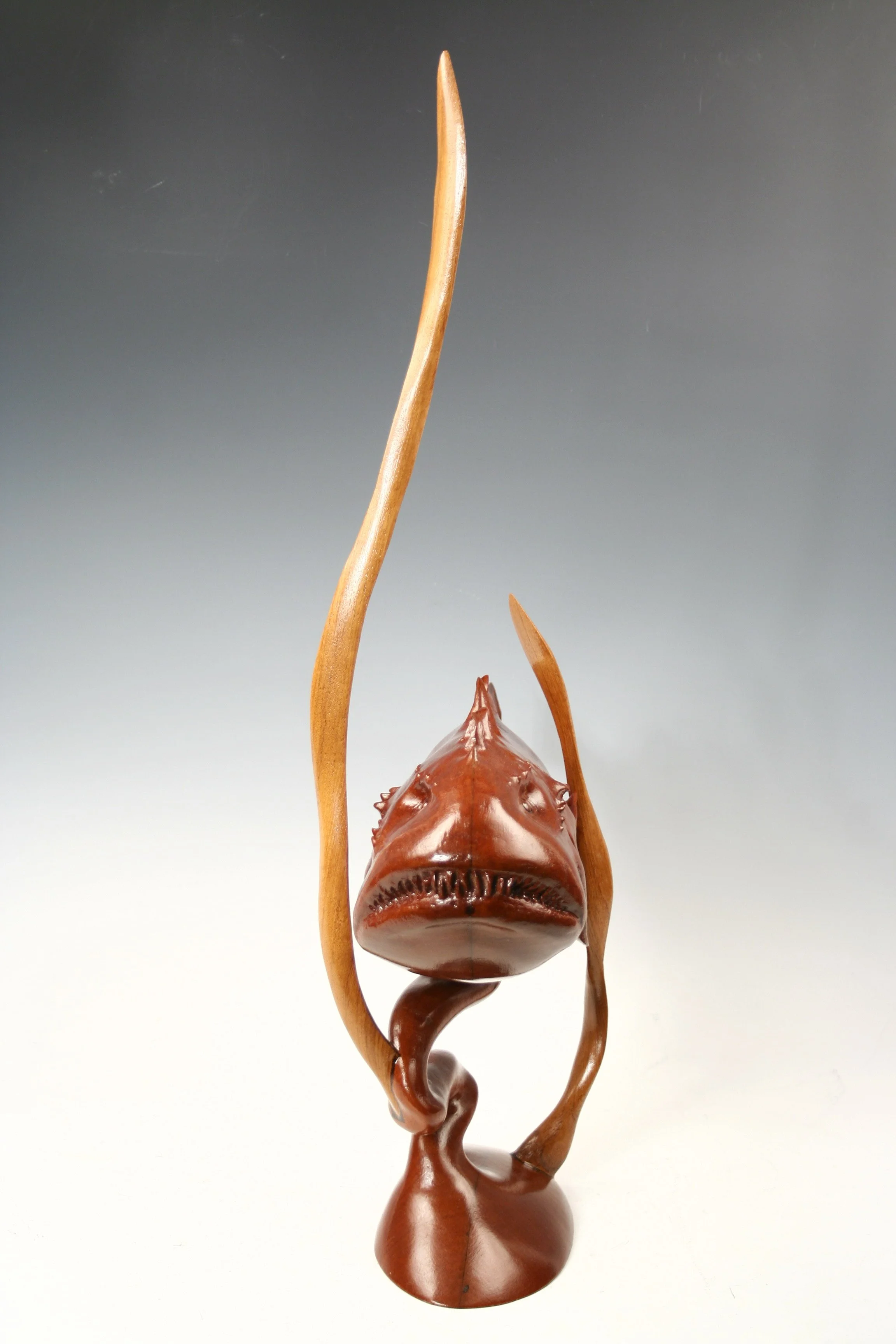 Monkfish 1C.JPG