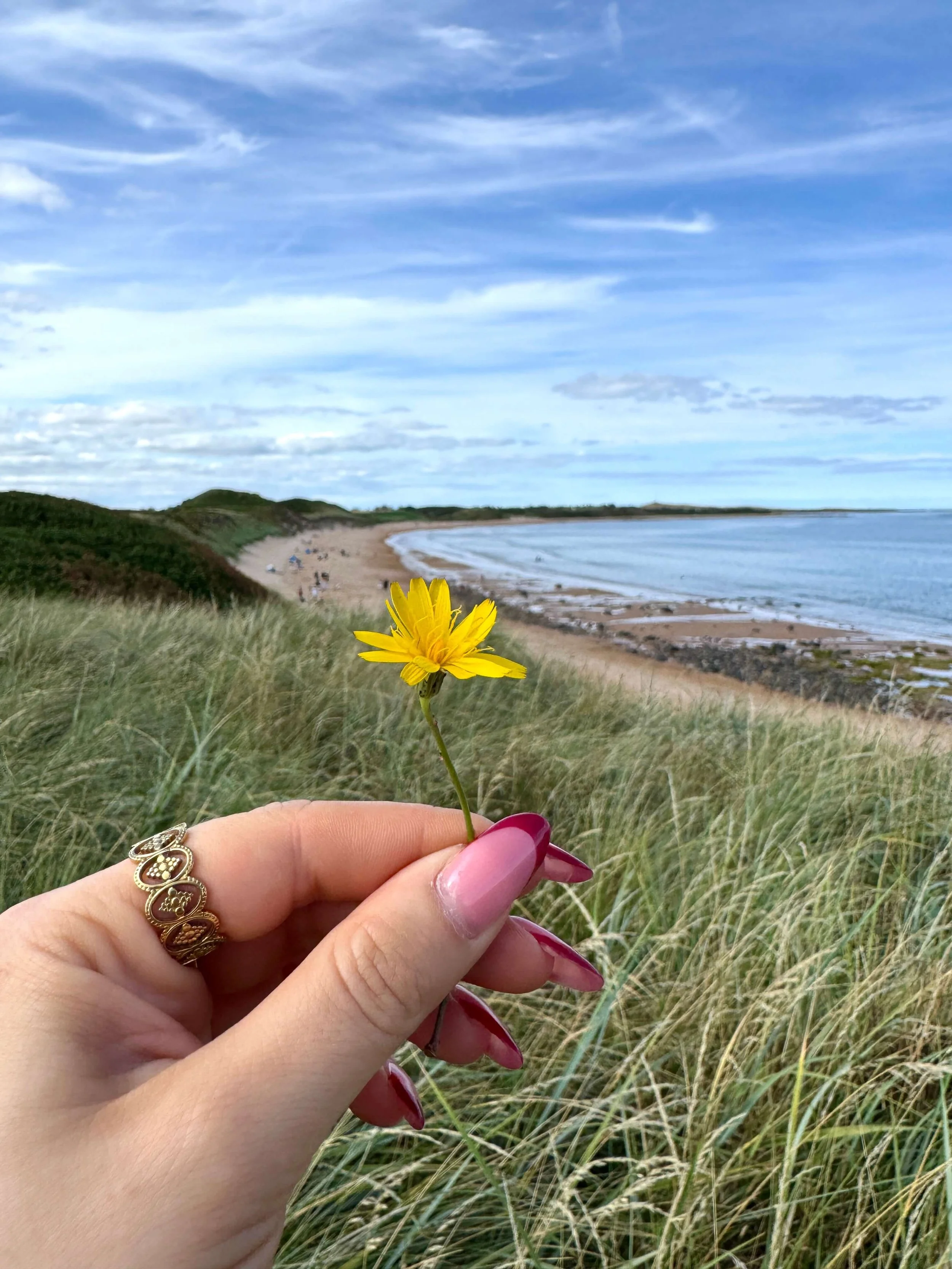 A hand with pink nails holds a yellow wildflower above dune grass, overlooking a sandy beach and calm sea beneath a serene, cloudy sky.