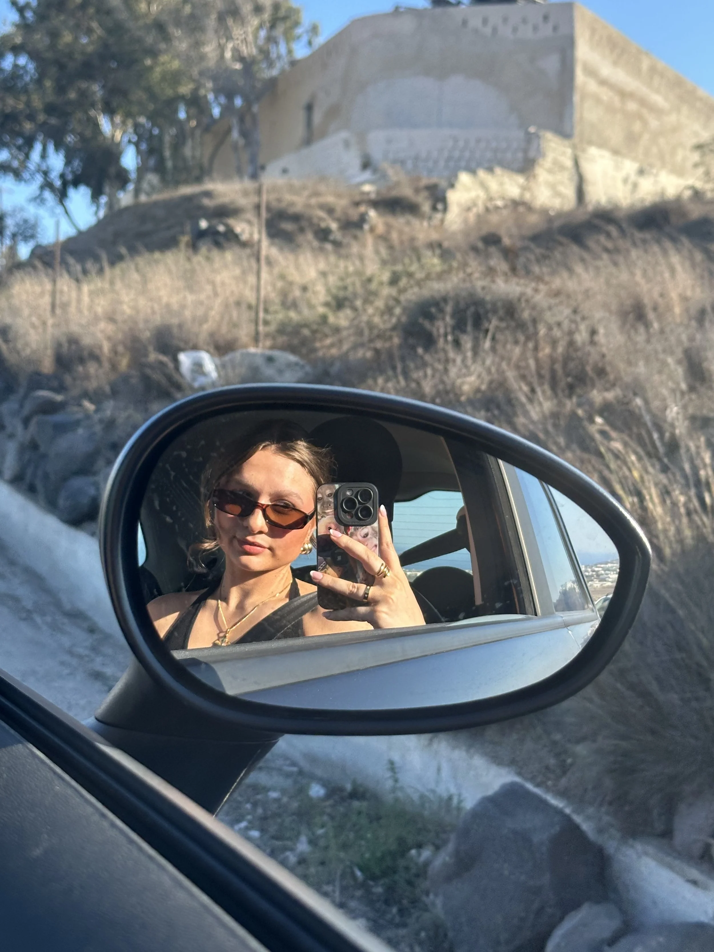 Wing Mirror