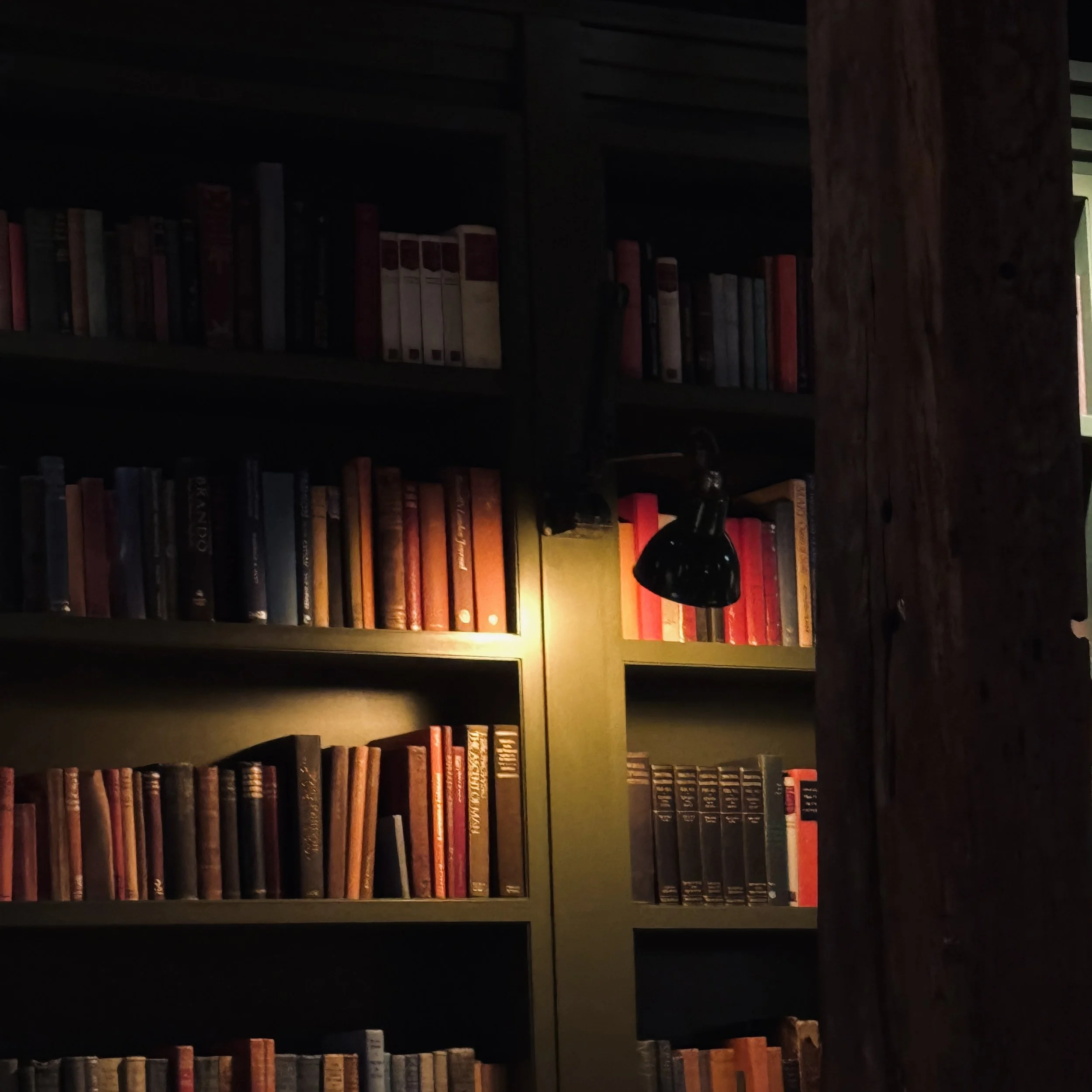 A bookshelf lined with books and lit by the glow of a lamp
