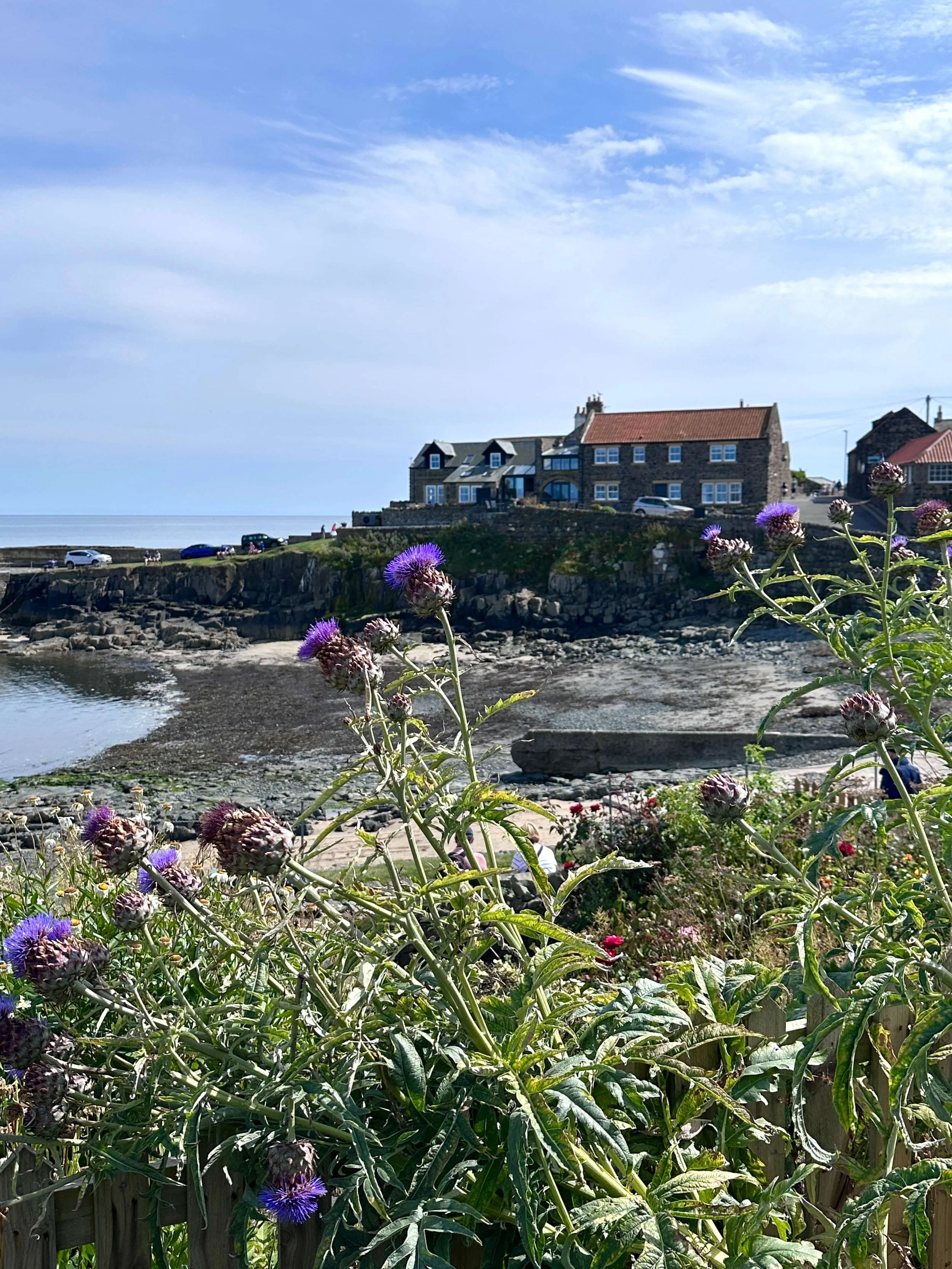 A vibrant blue sky dotted with white clouds, showcasing a beautiful harbour below. Purple flowers in the foreground.