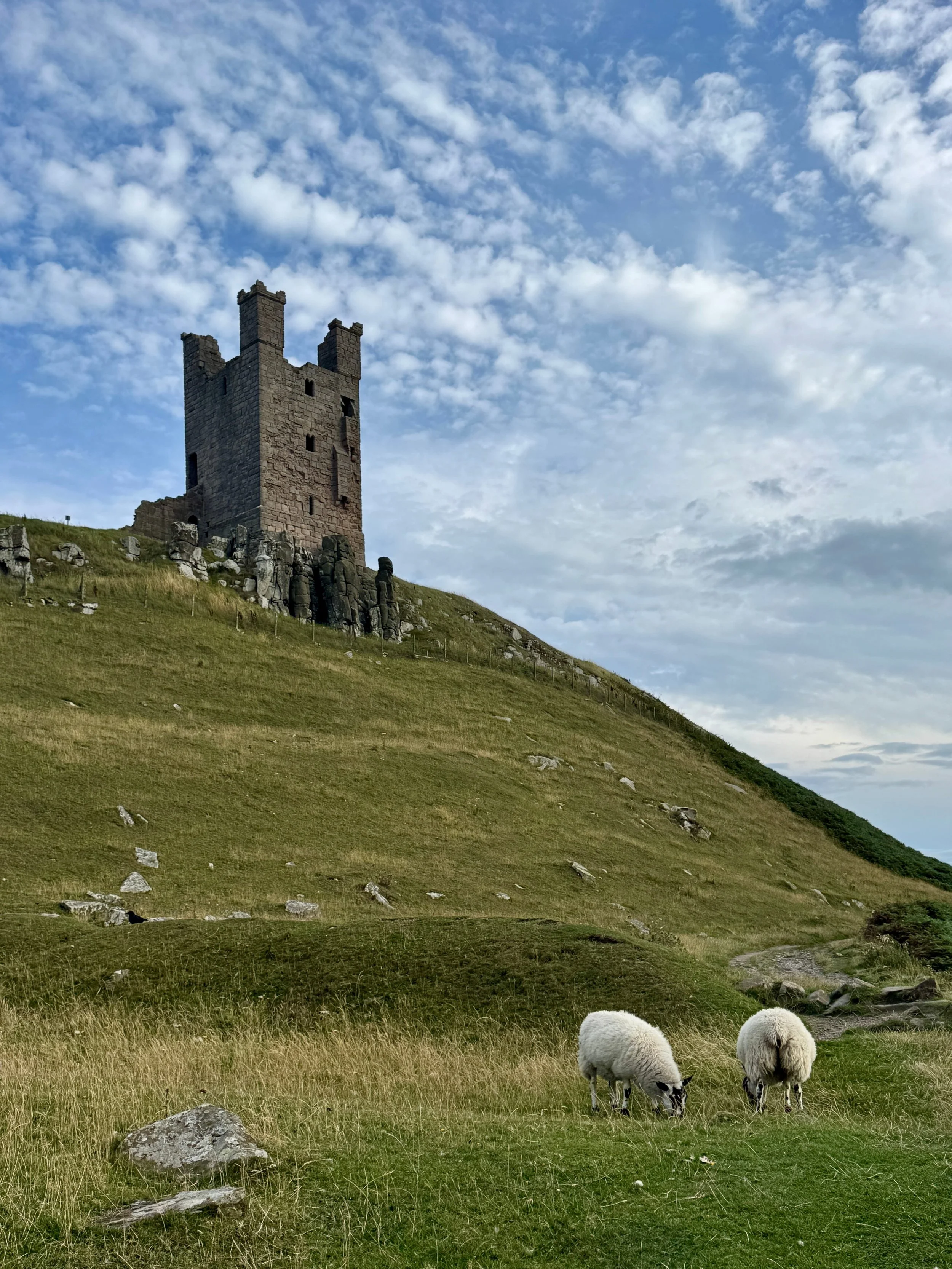 A serene scene of sheep grazing on a lush hillside, with an ancient castle perched in the distance under a bright sky.