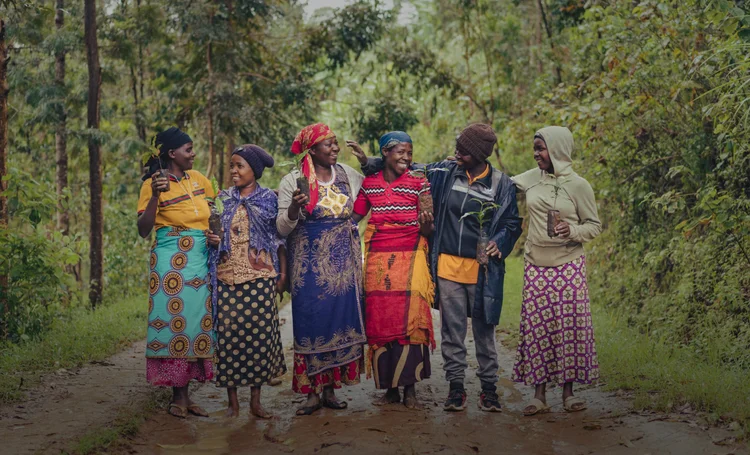 Impact — Kula Project