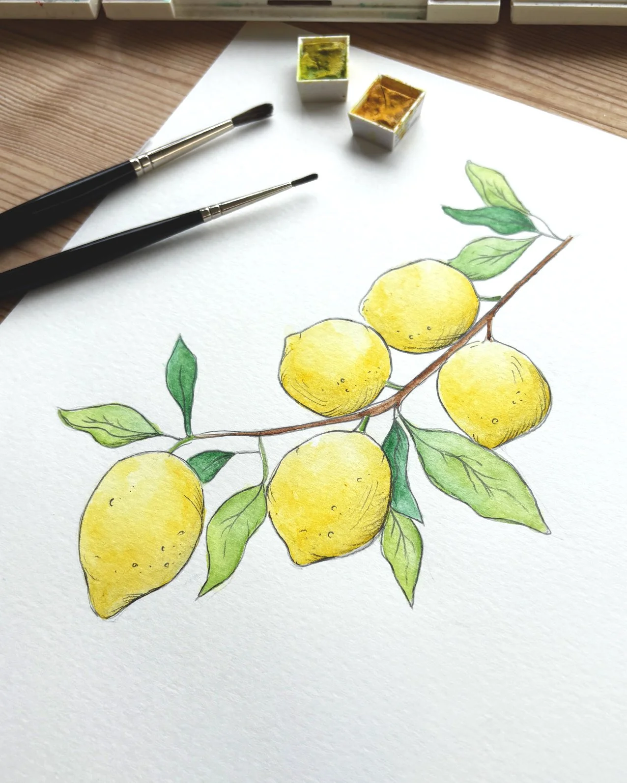 Zesty 🍋

Recently I've had a couple of projects asking me to draw fruits which I've really enjoyed, as not my usual subject matter (although the first illustration I ever had published was fruit themed, so it's been great to revisit them since my st