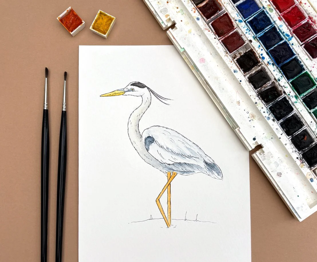 Olly &amp; Harriett’s Illustrated Bird Table Plan