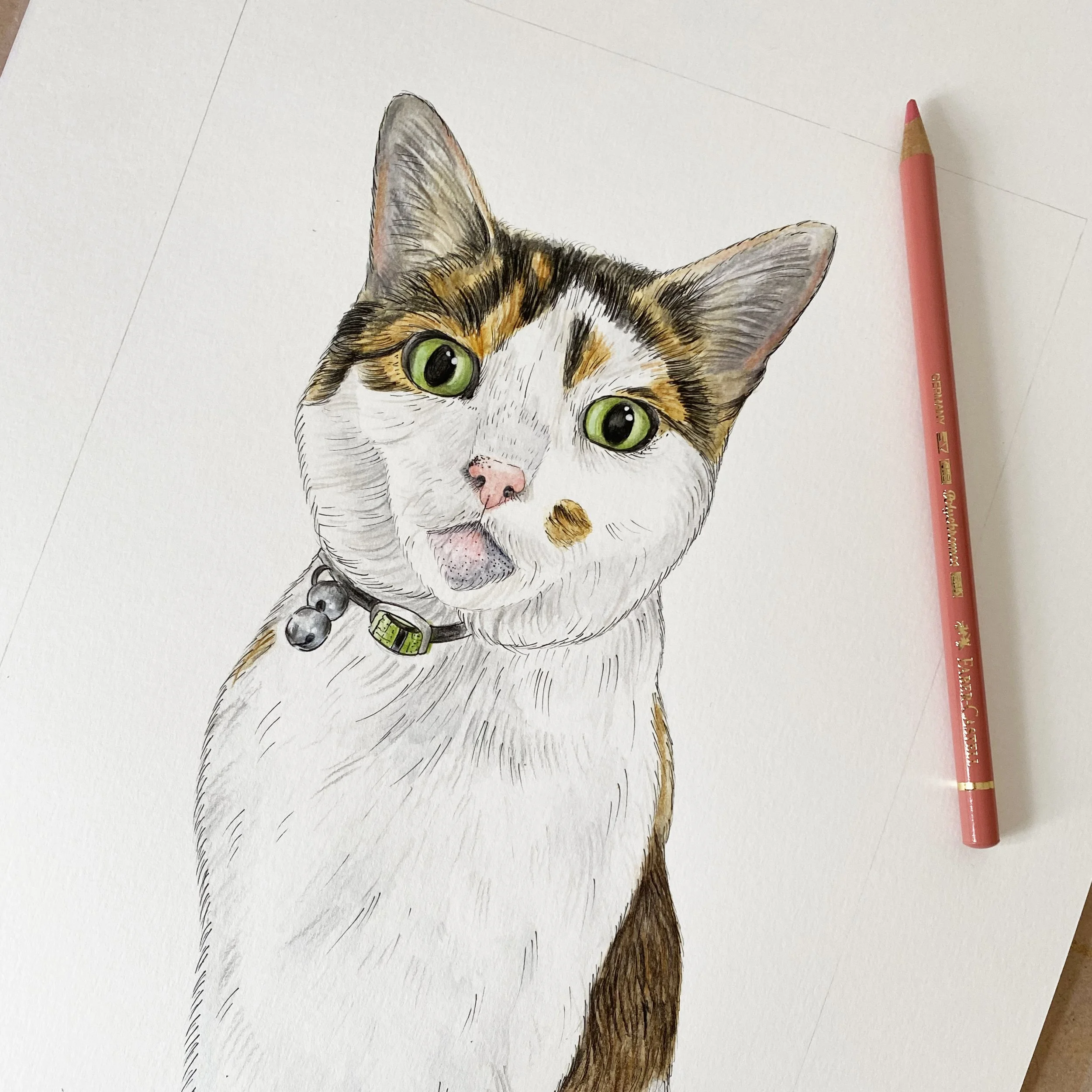 Detailed colored drawing of a calico cat with green eyes, pink nose, and a collar with silver bells, on white paper with a pink colored pencil nearby.