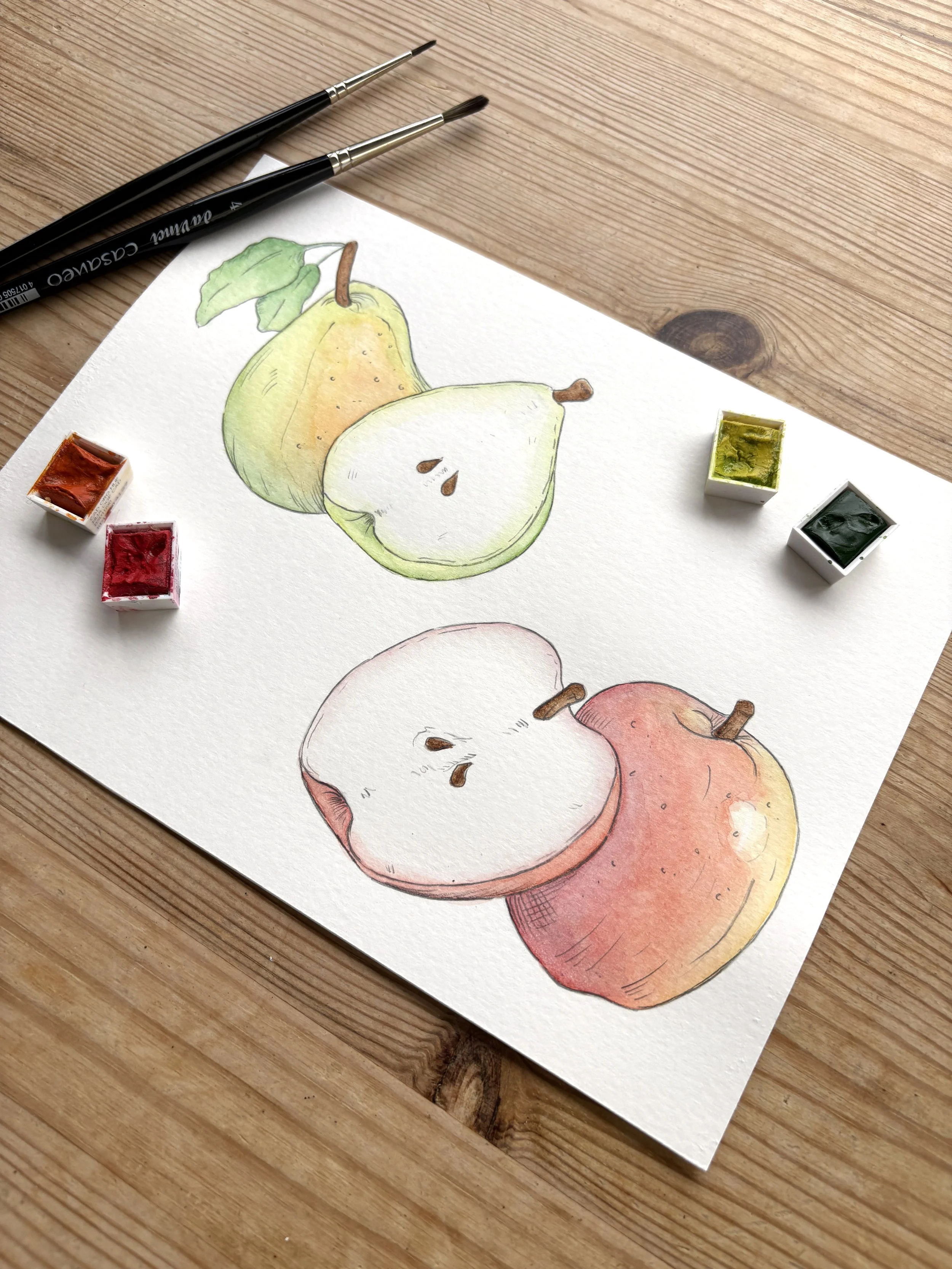 The finished illustrations of two of the fruits to be used within the table plan, a pear and and apple, showing both a full and cut view of each. Drawn using grey fine liner, watercolour and pencil shading applied at the end