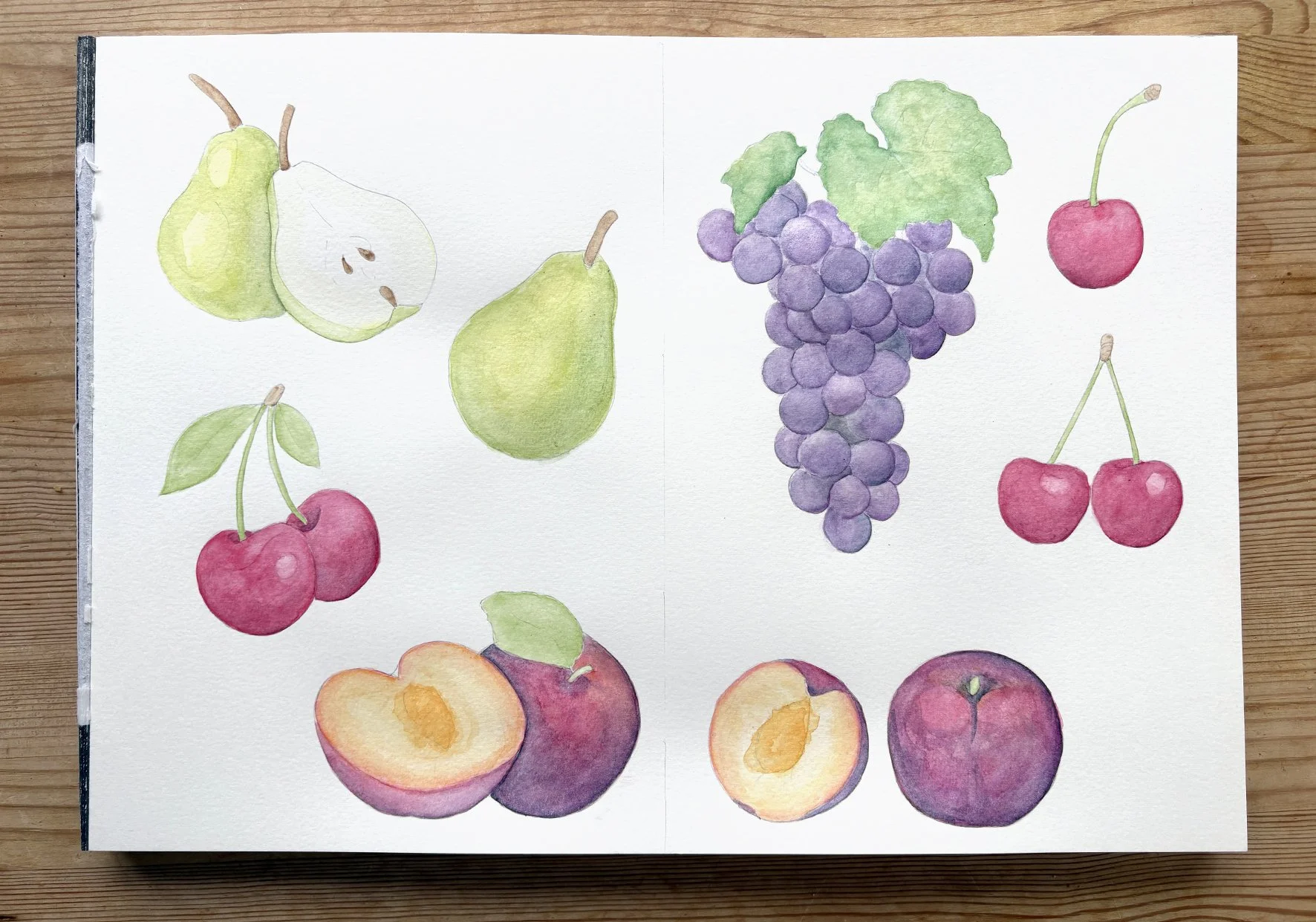 A sketchbook page showing some of the initial sketches and watercolour illustrations of the fruits I worked on in the process of designing this table plan