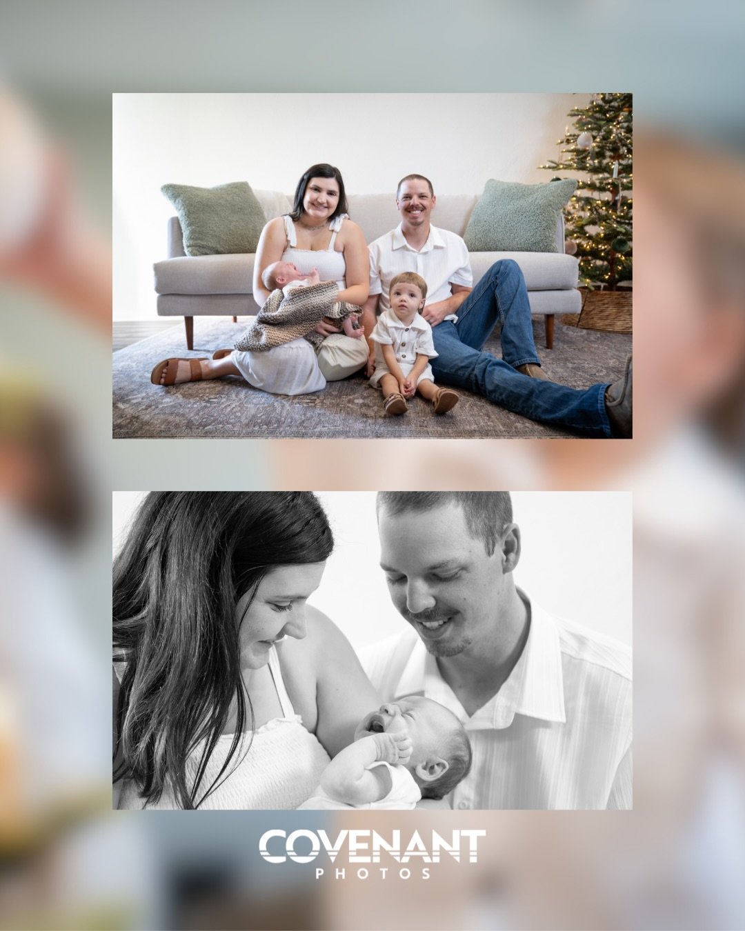 ✨2025 Christmas Portraits✨

1 of 9 families that came out for @emilyparker_realtor &lsquo;s annual client Holiday Photoshoot! I had a blast taking all of these family&rsquo;s photos for the holidays. 

DM for availability!
Website in Bio

❄️Happy Hol