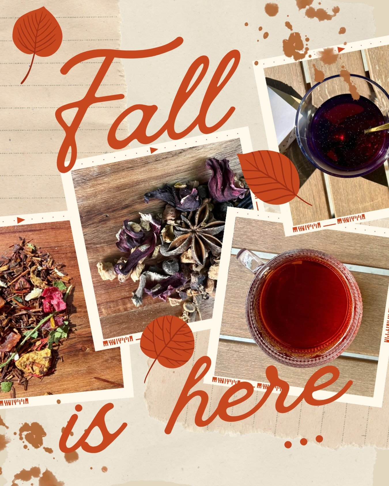 Happy first day of fall!
Florida didn&rsquo;t get the memo&hellip; but your tea cup can.
I&rsquo;ve got four fall blends ready to make things cozy, even if the weather refuses to cooperate. 🍂📚

#thetealibrary #happyfall #firstdayoffall #fallteas #f