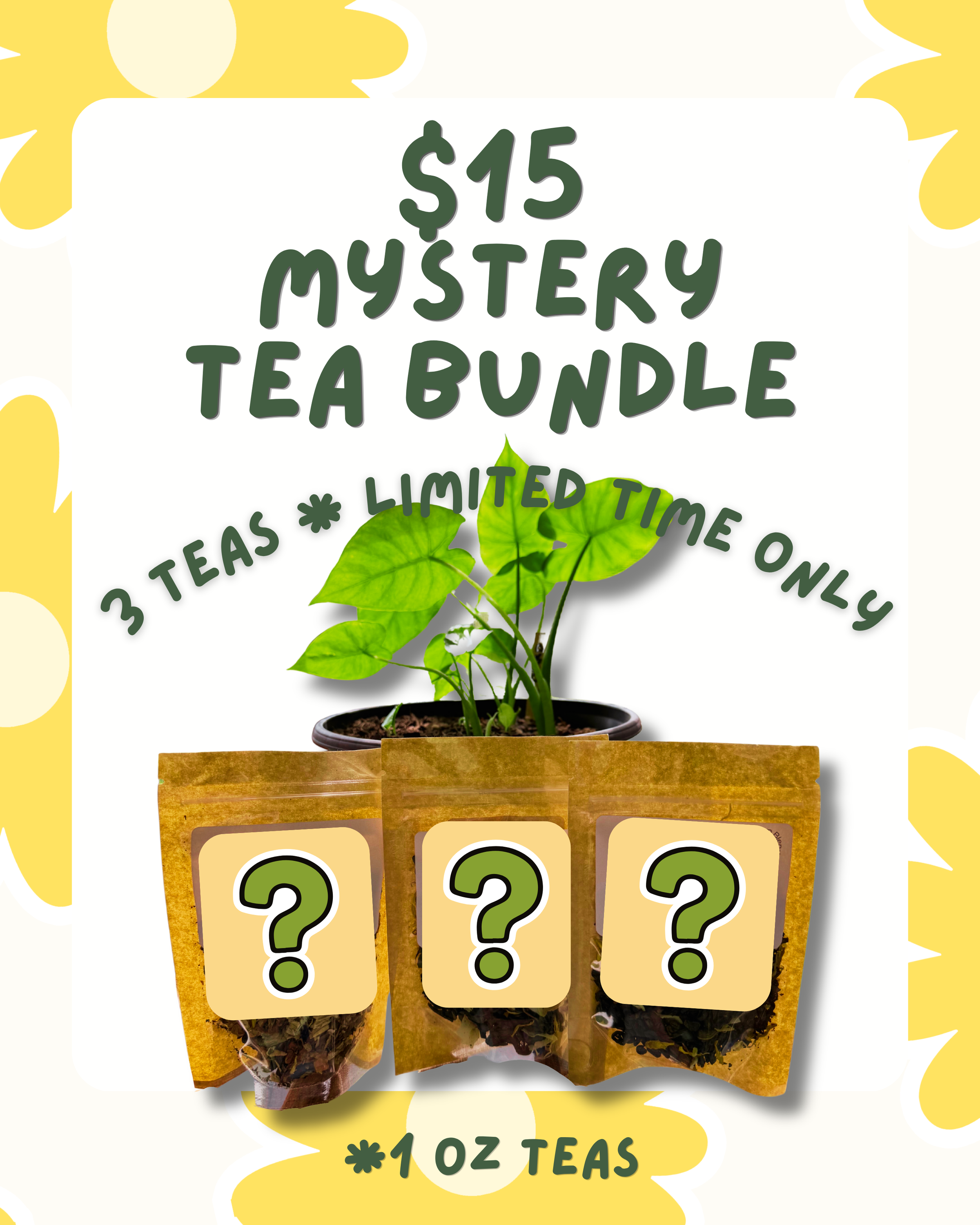 Mystery Bundle during vacay.png